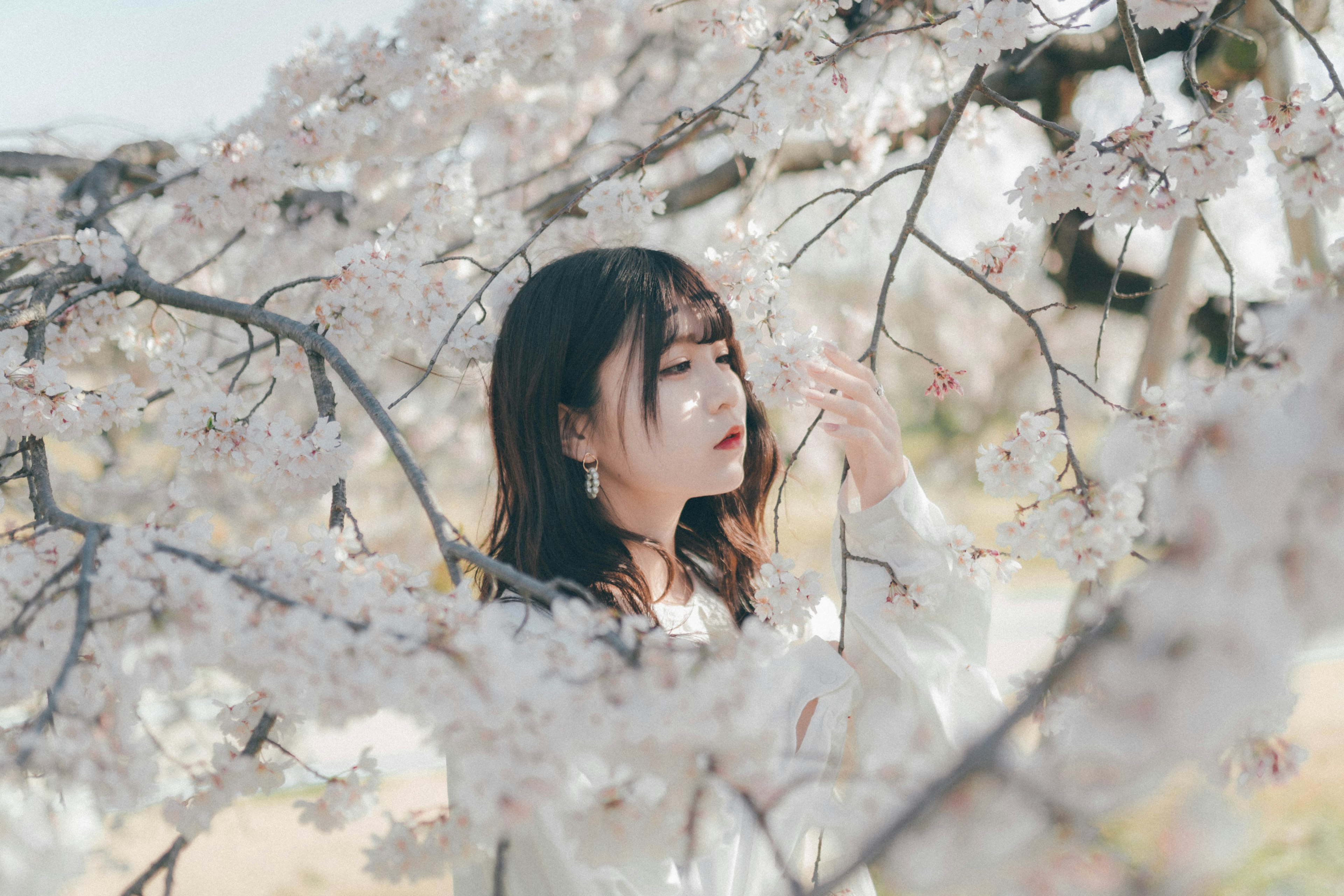 Portrait d'une femme se tenant parmi les cerisiers en fleurs