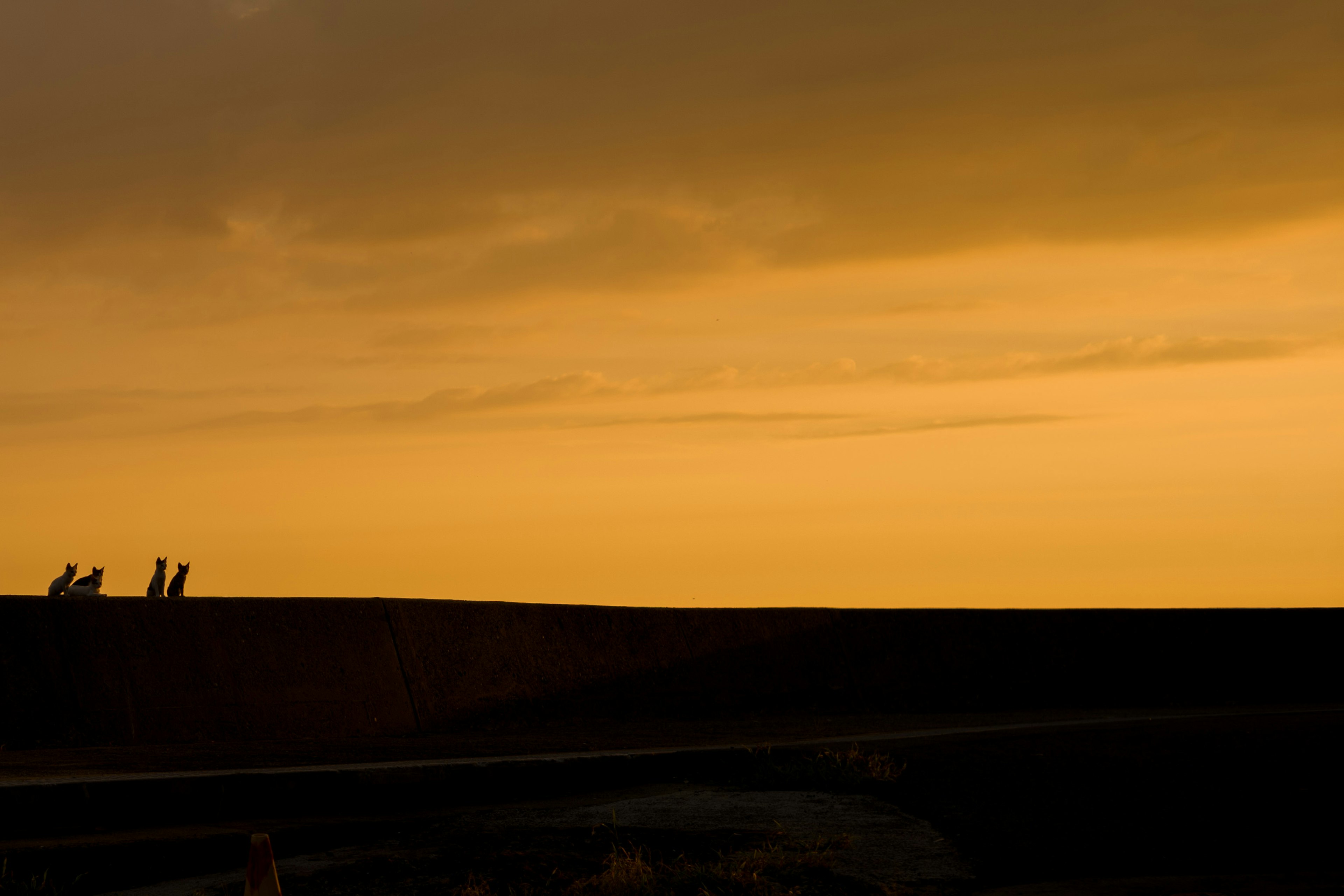 Silhouette of people against an orange sunset sky