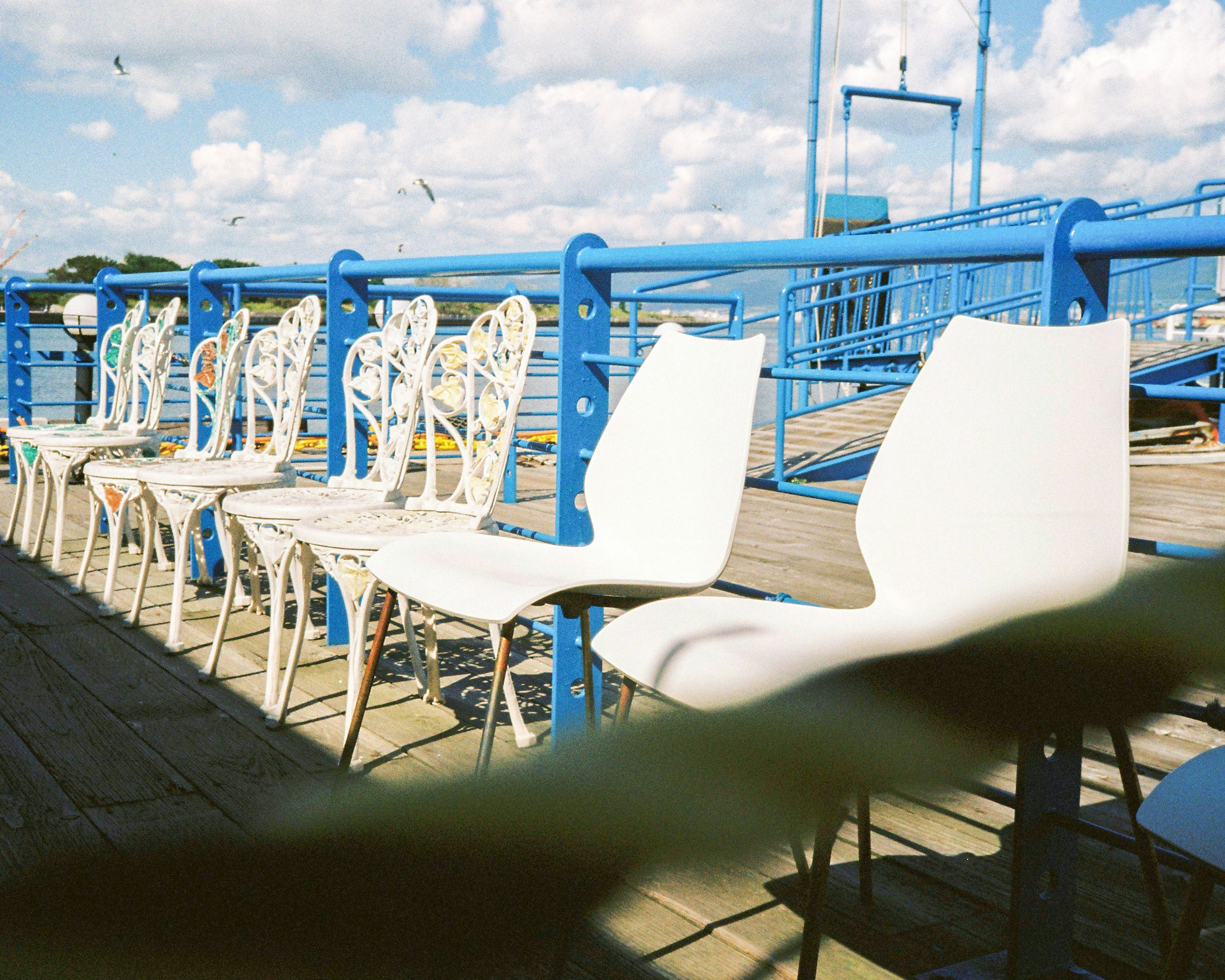 Row of white chairs near blue railing on a sunny day