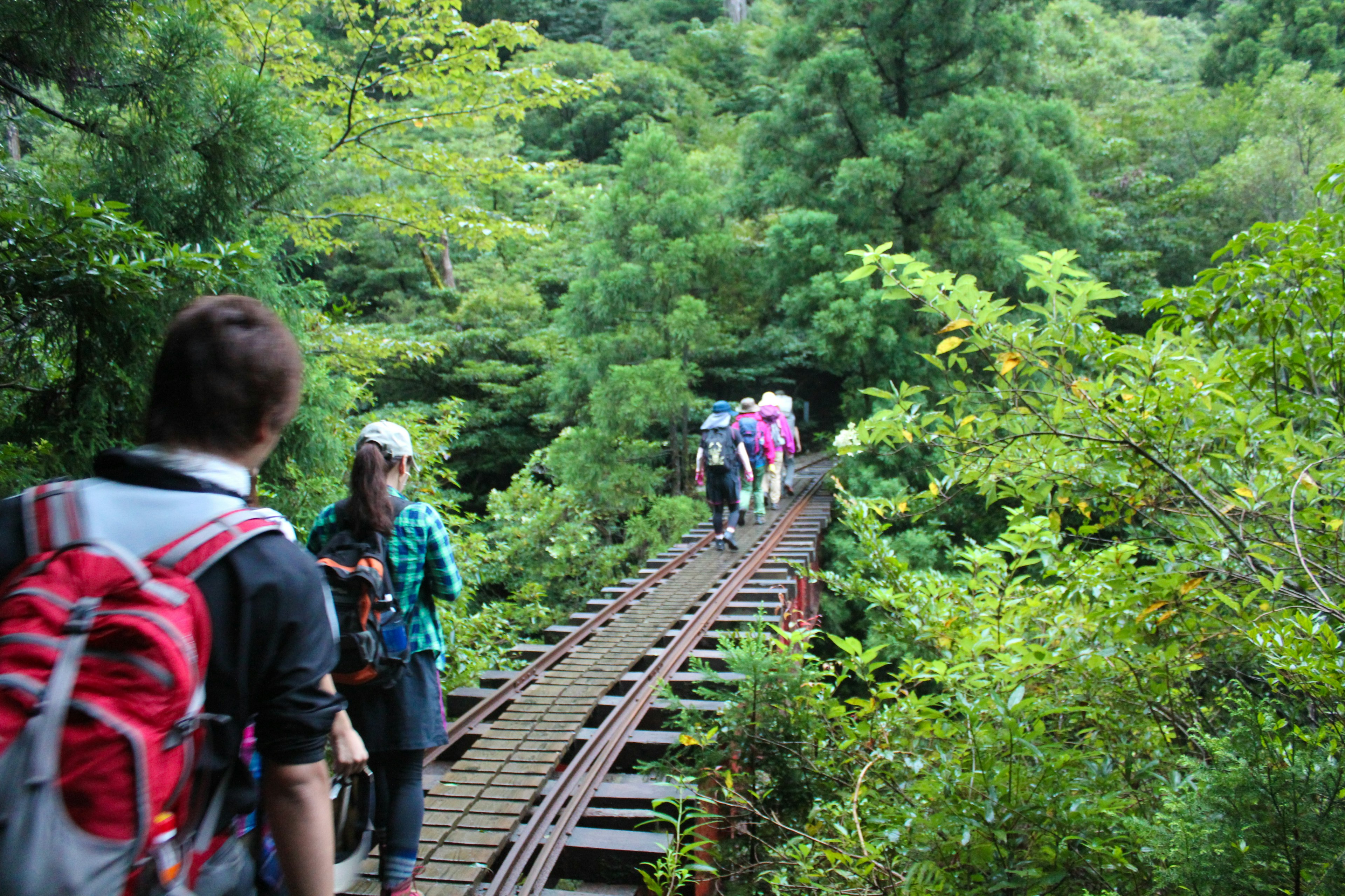 緑豊かな森林の中を歩くハイカーたちと古い鉄道のレール