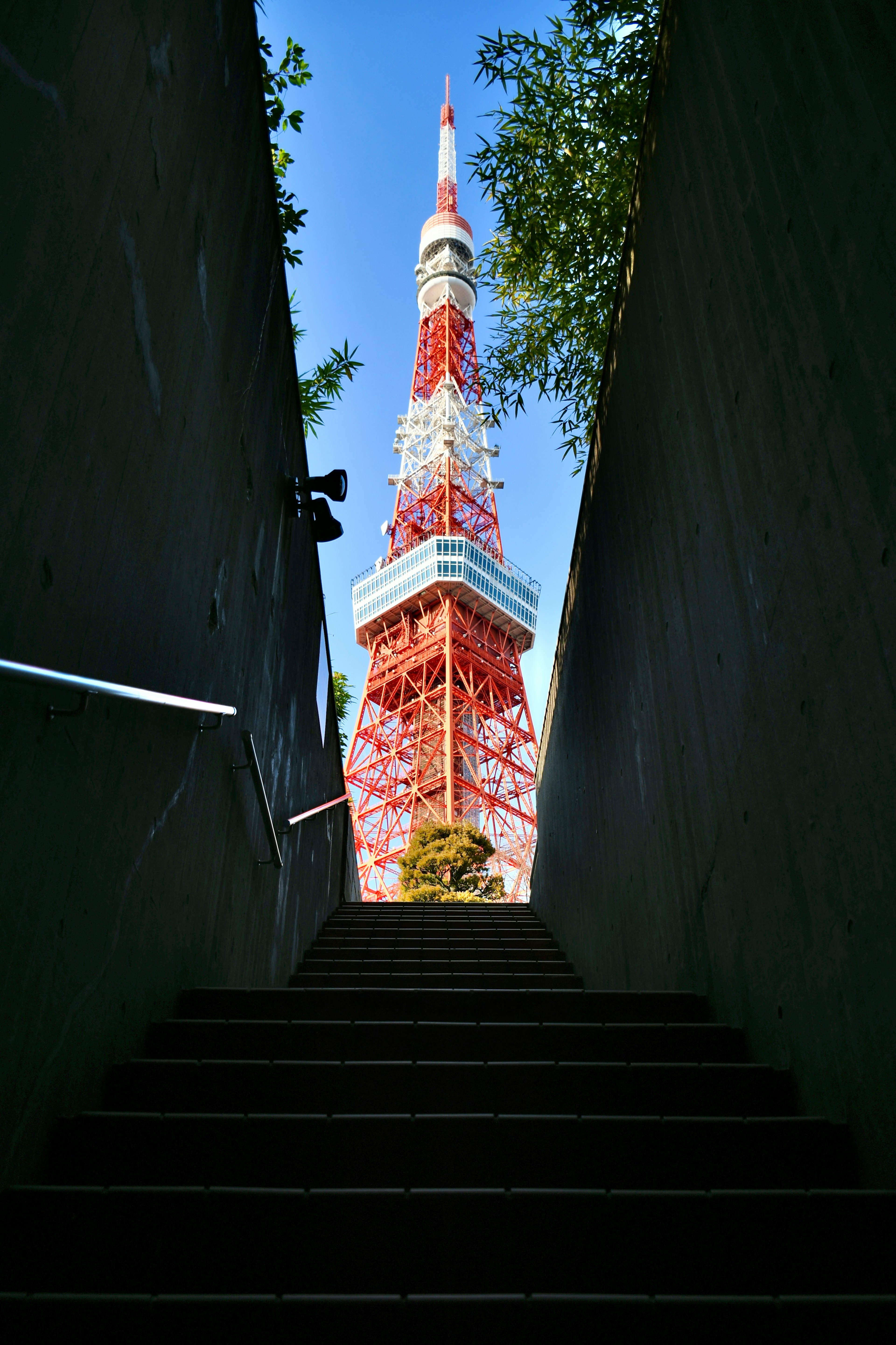 階段の上から見た東京タワーの眺め青空の下で赤と白の色合いが印象的