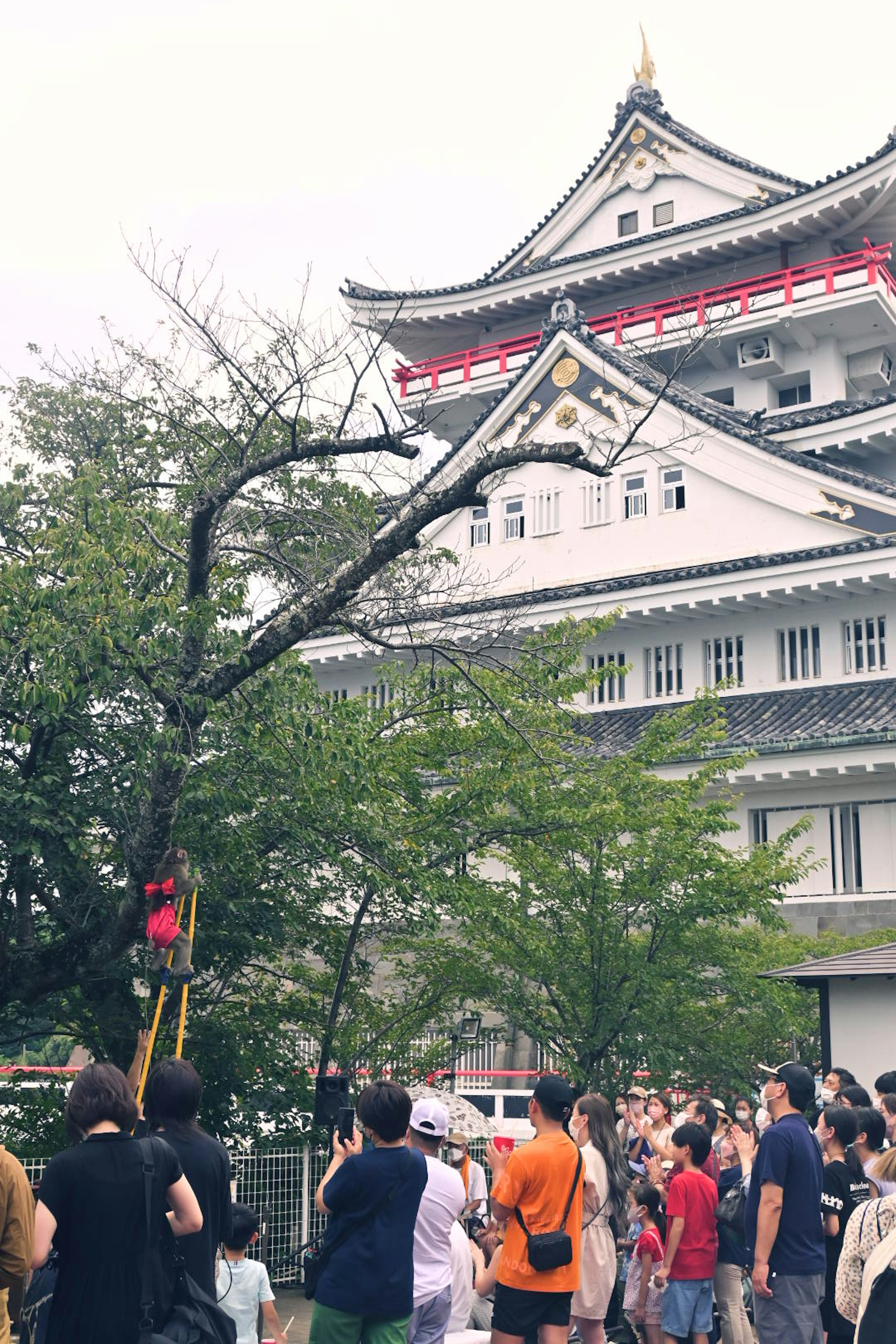 人群聚集在一棵樹旁的傳統日本建築