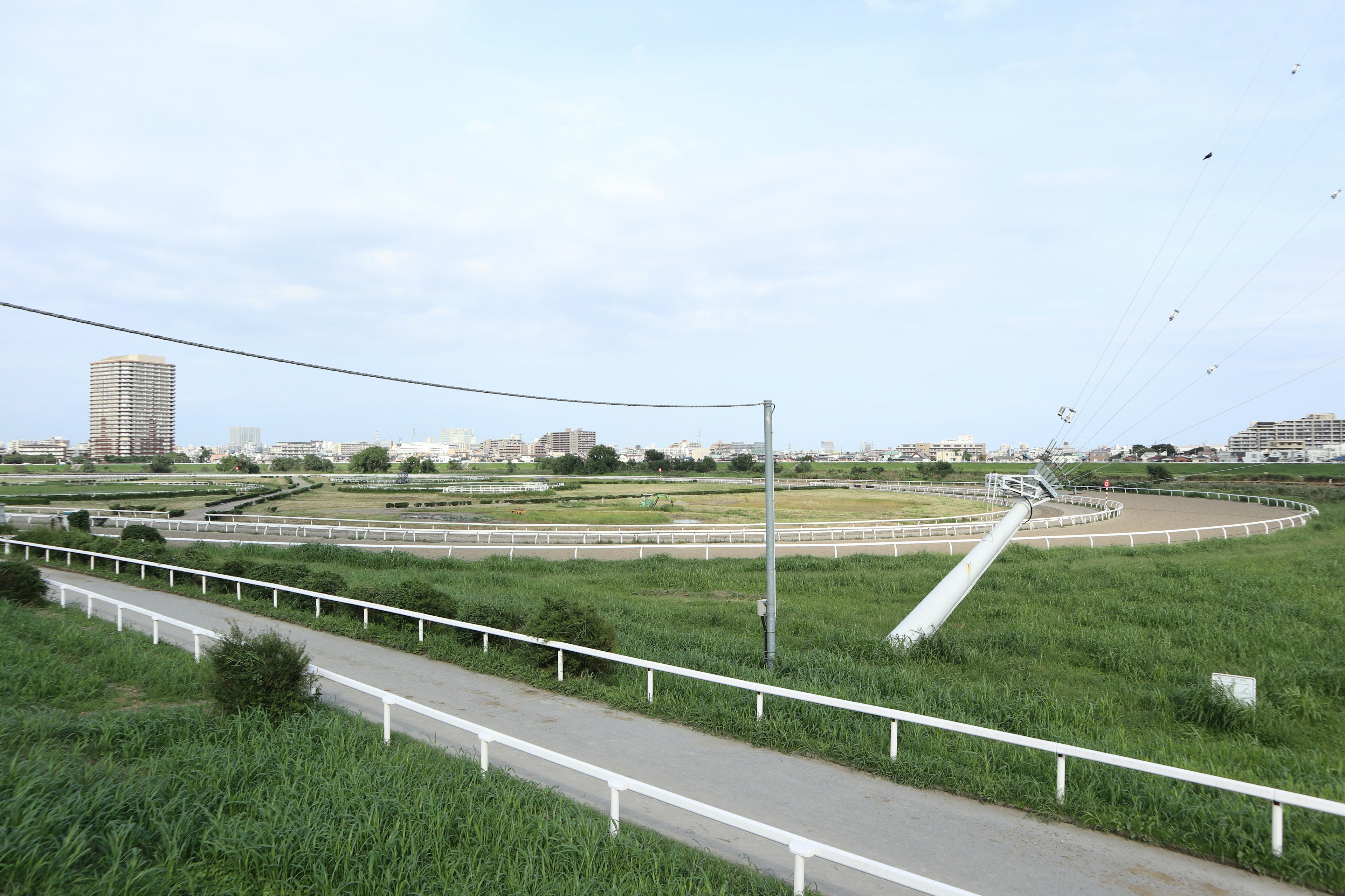 Üppige grüne Landschaft mit weißem Zaun und fernen Hochhäusern unter klarem Himmel