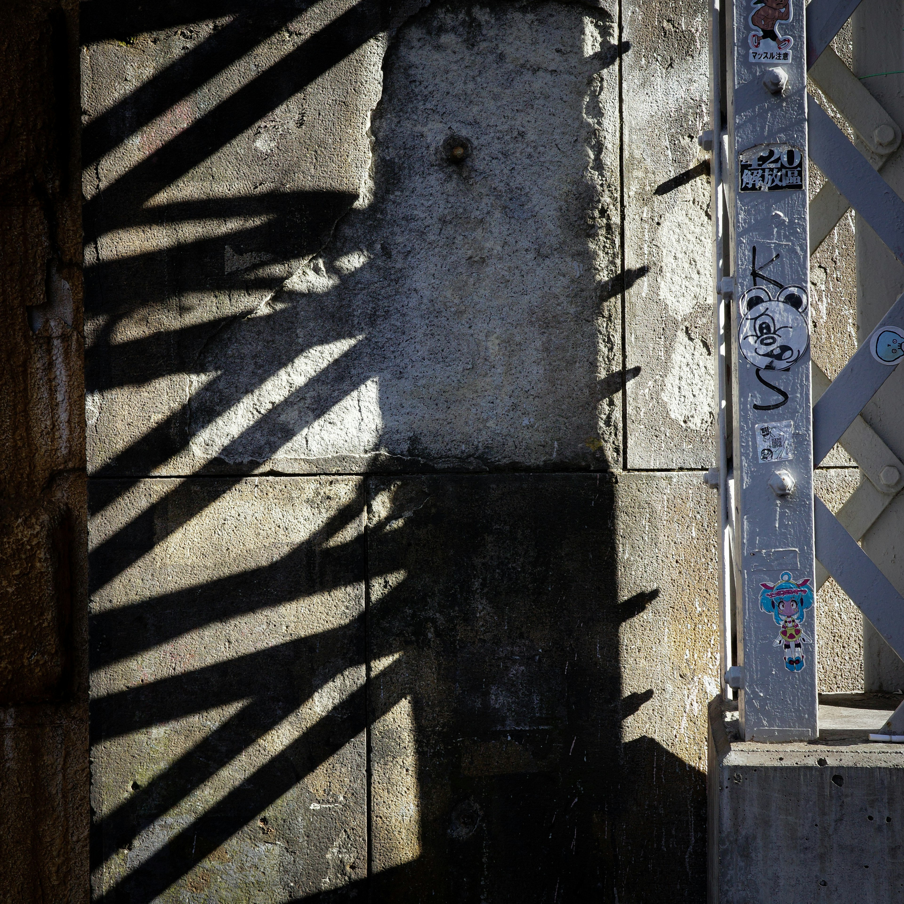 Intersecting shadows on an old textured wall and metal gate