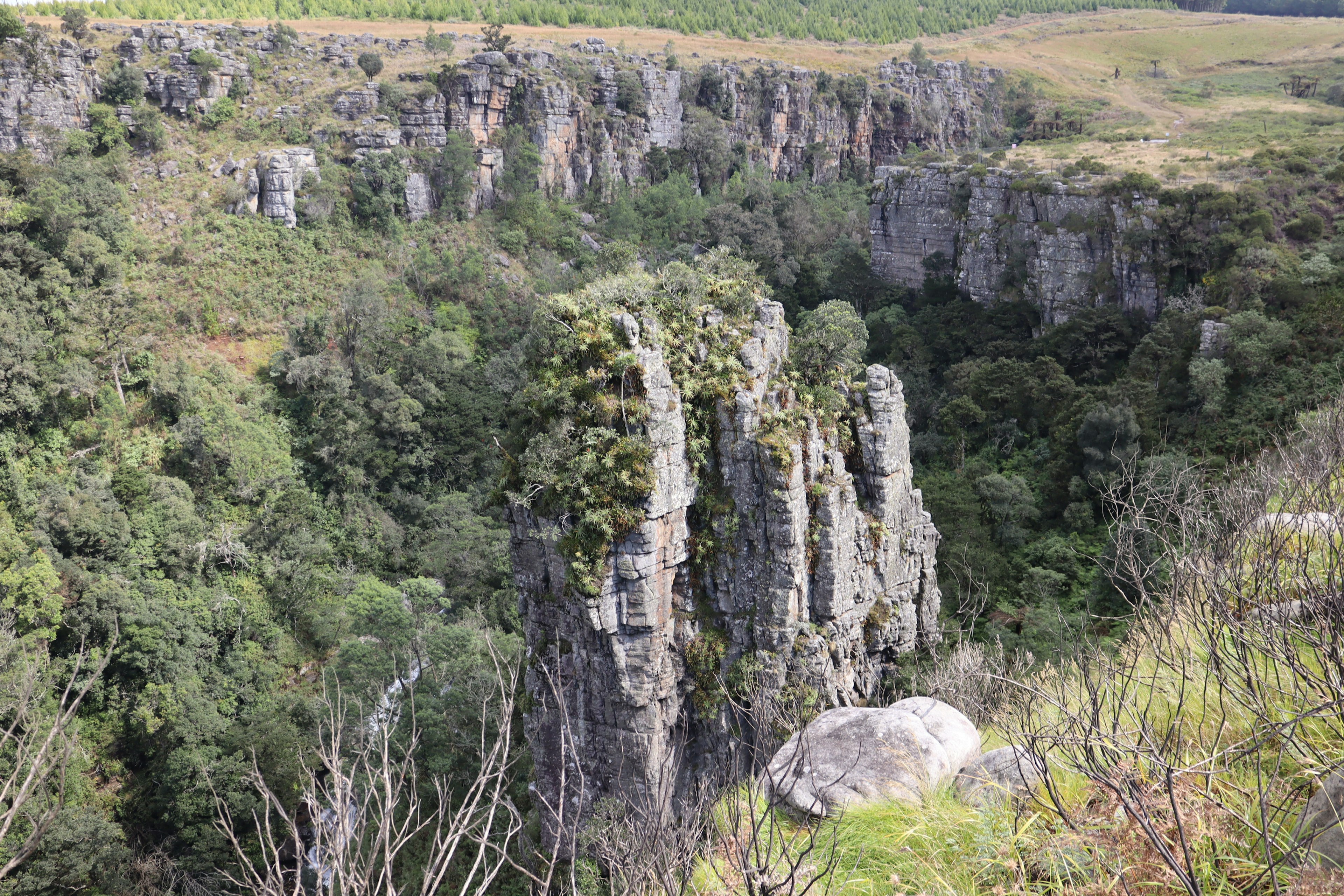 Colonnes rocheuses s'élevant dans un canyon verdoyant entouré de végétation