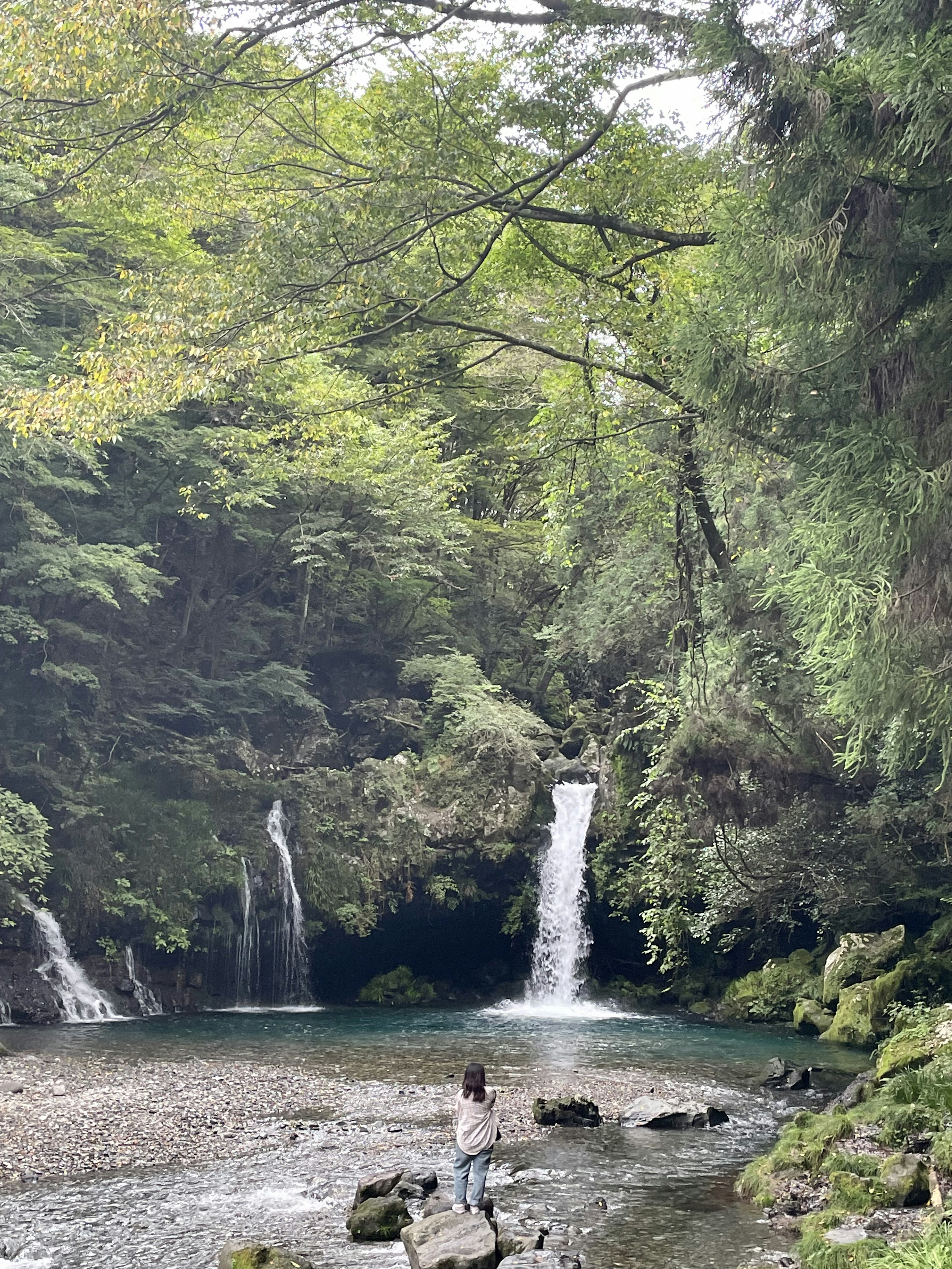 美しい滝と緑の木々に囲まれた静かな川の景色