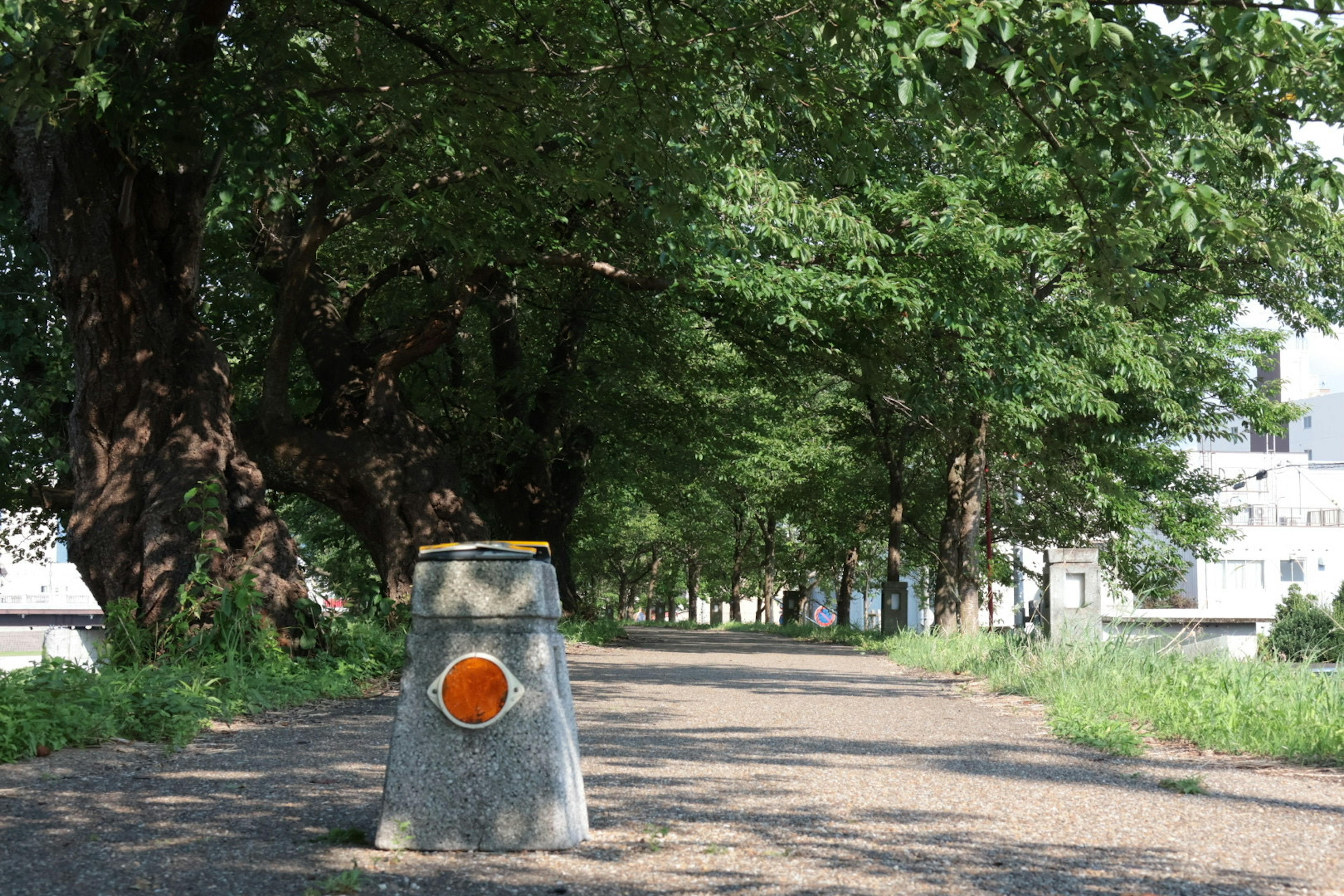 Concrete barrier with an orange circle on an unpaved road surrounded by green trees