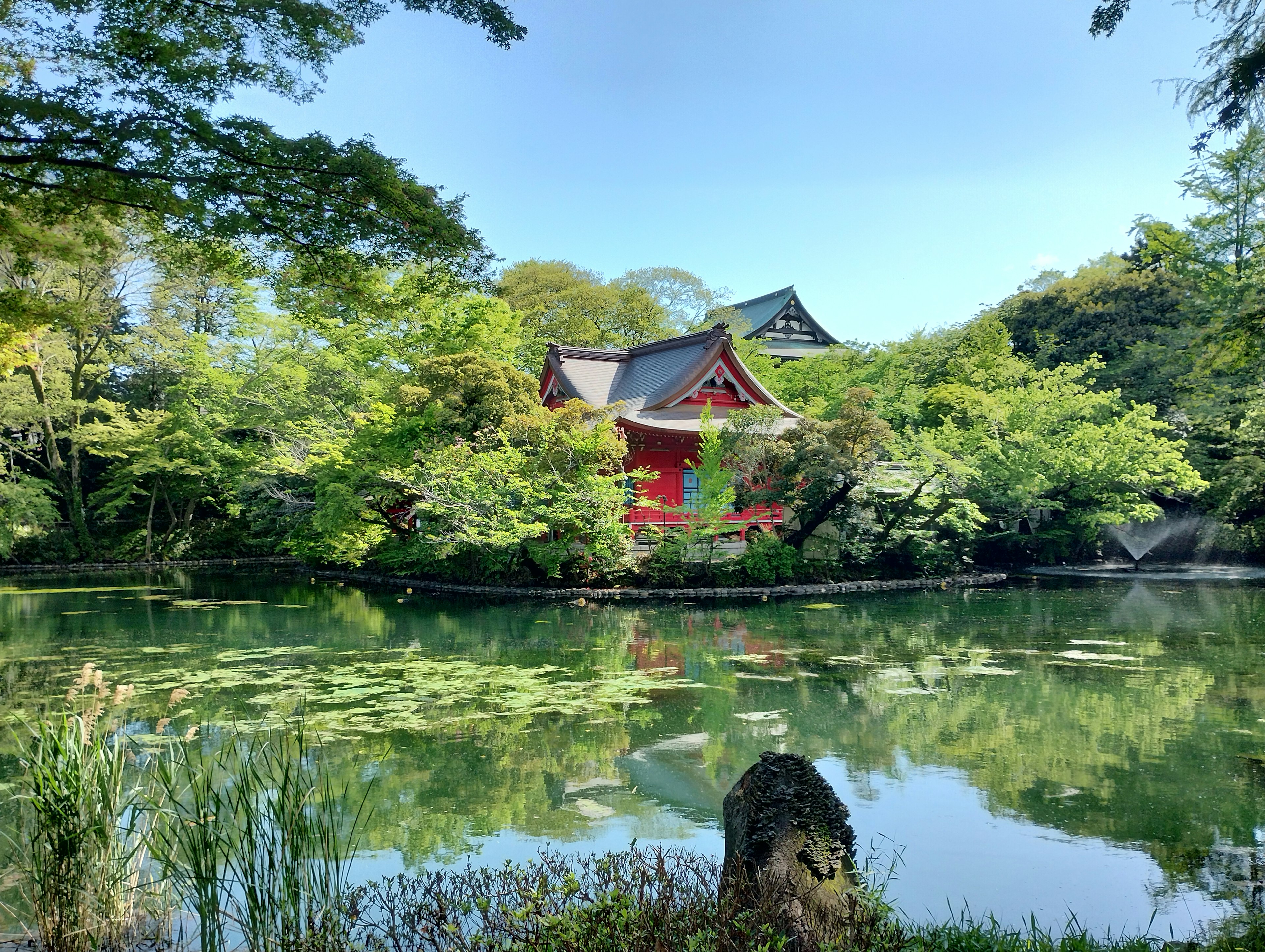 A red-roofed building surrounded by lush greenery and a serene pond