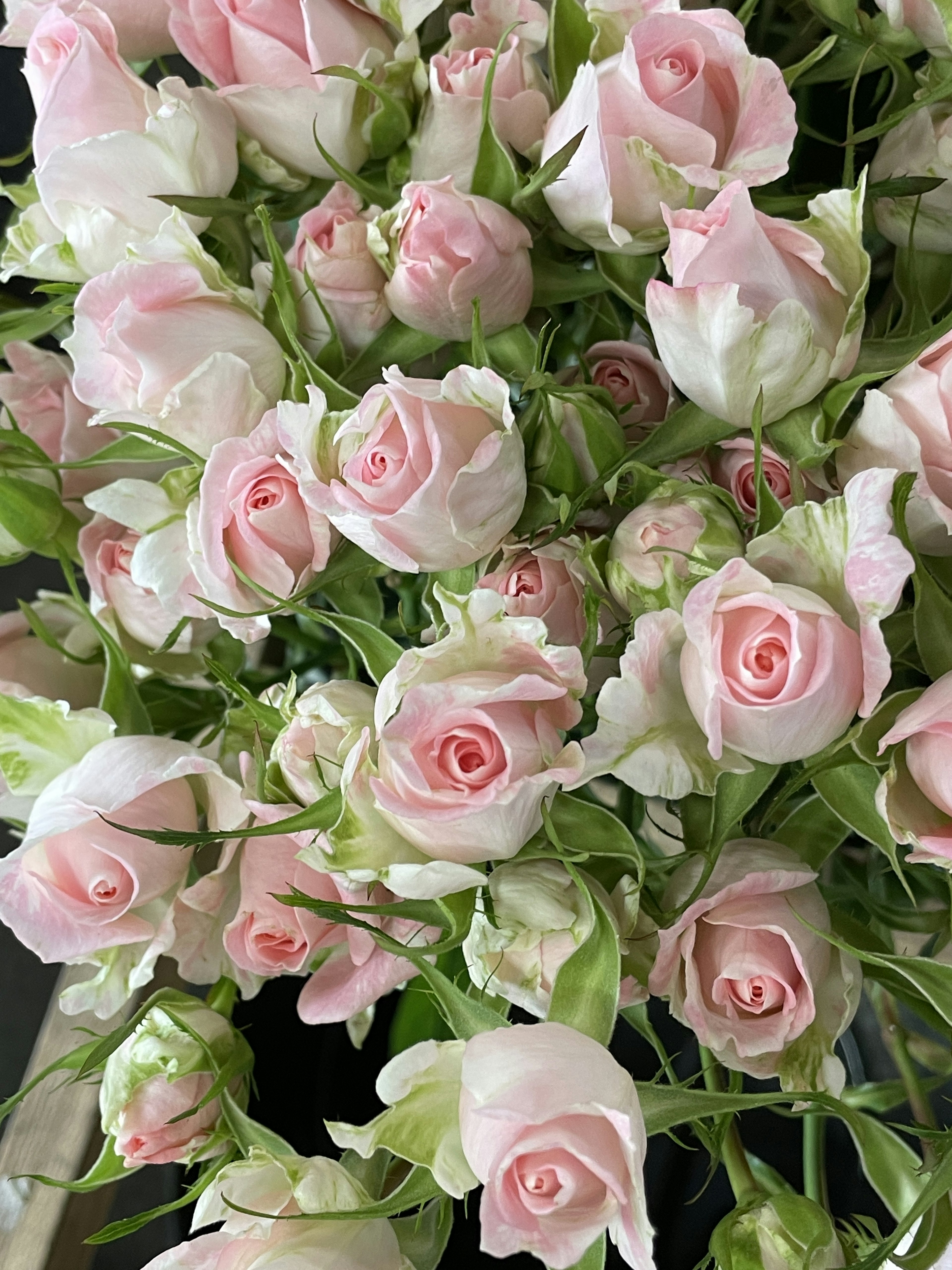 A bouquet of soft pink roses clustered together