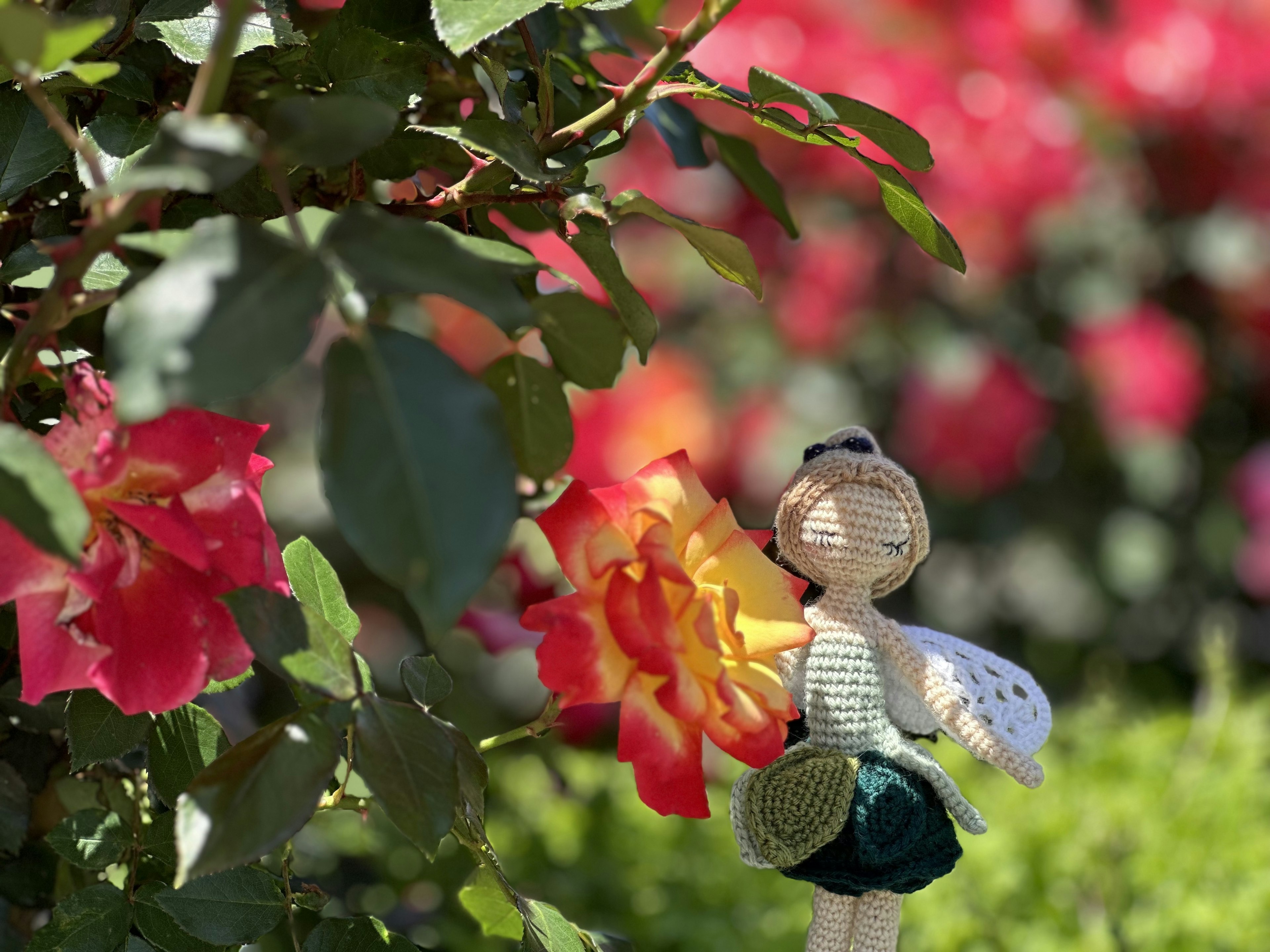 Una pequeña hada sosteniendo una rosa roja en un jardín