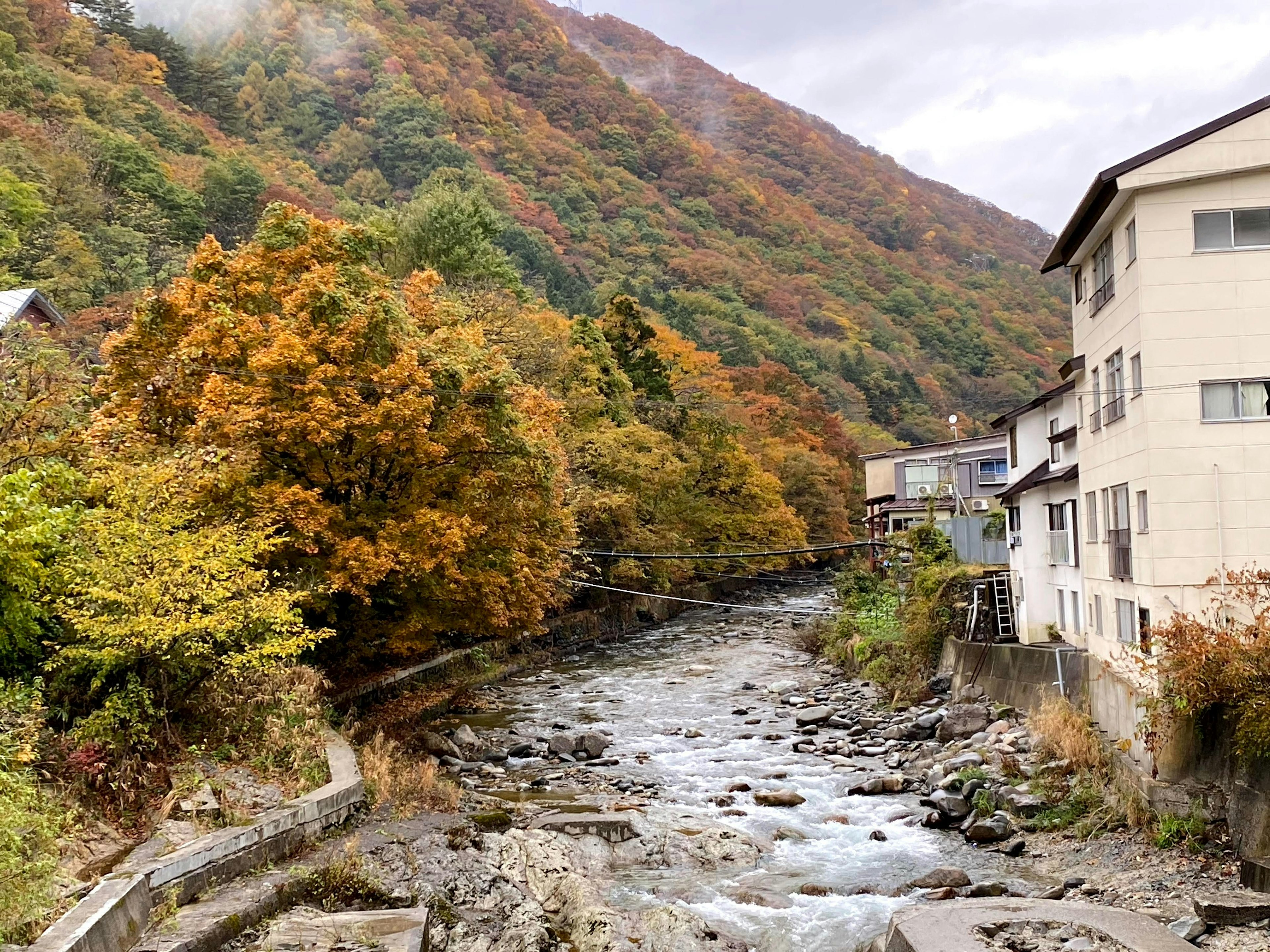 Scenic autumn landscape with a river and mountains