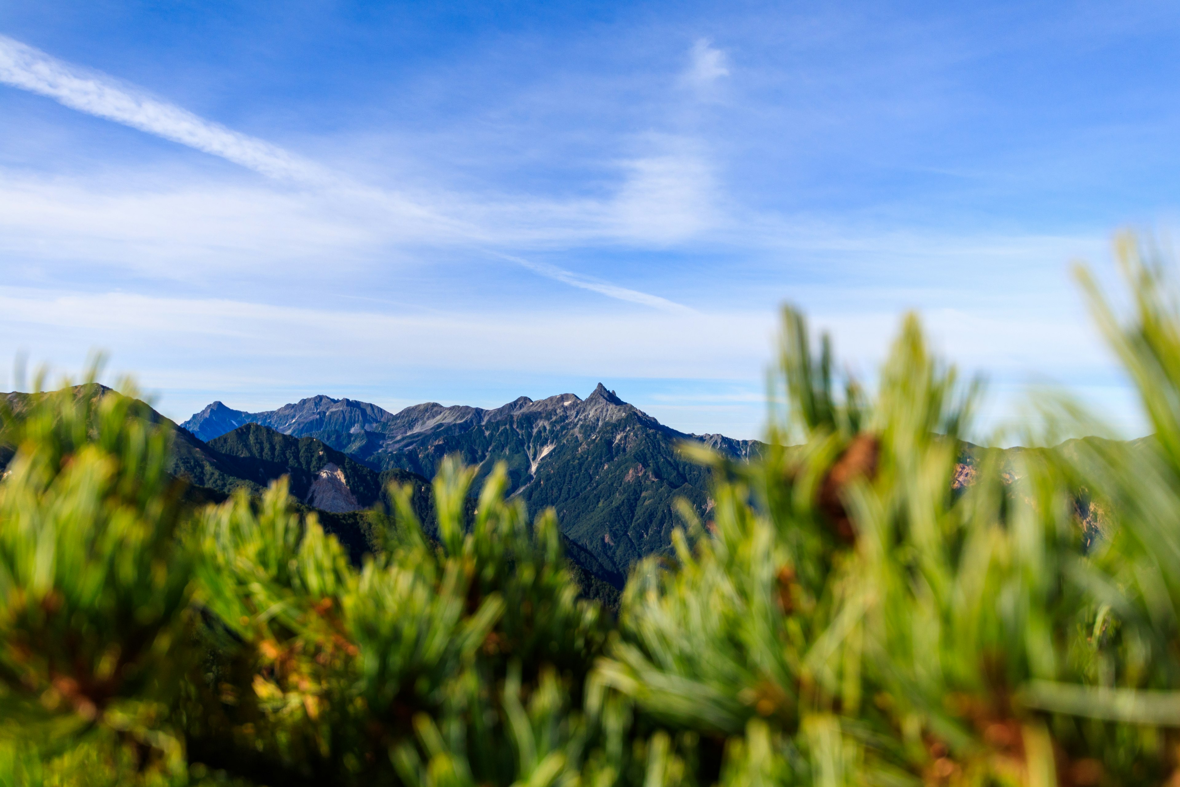 Landschaft mit grünem Laub und fernen Bergen unter blauem Himmel