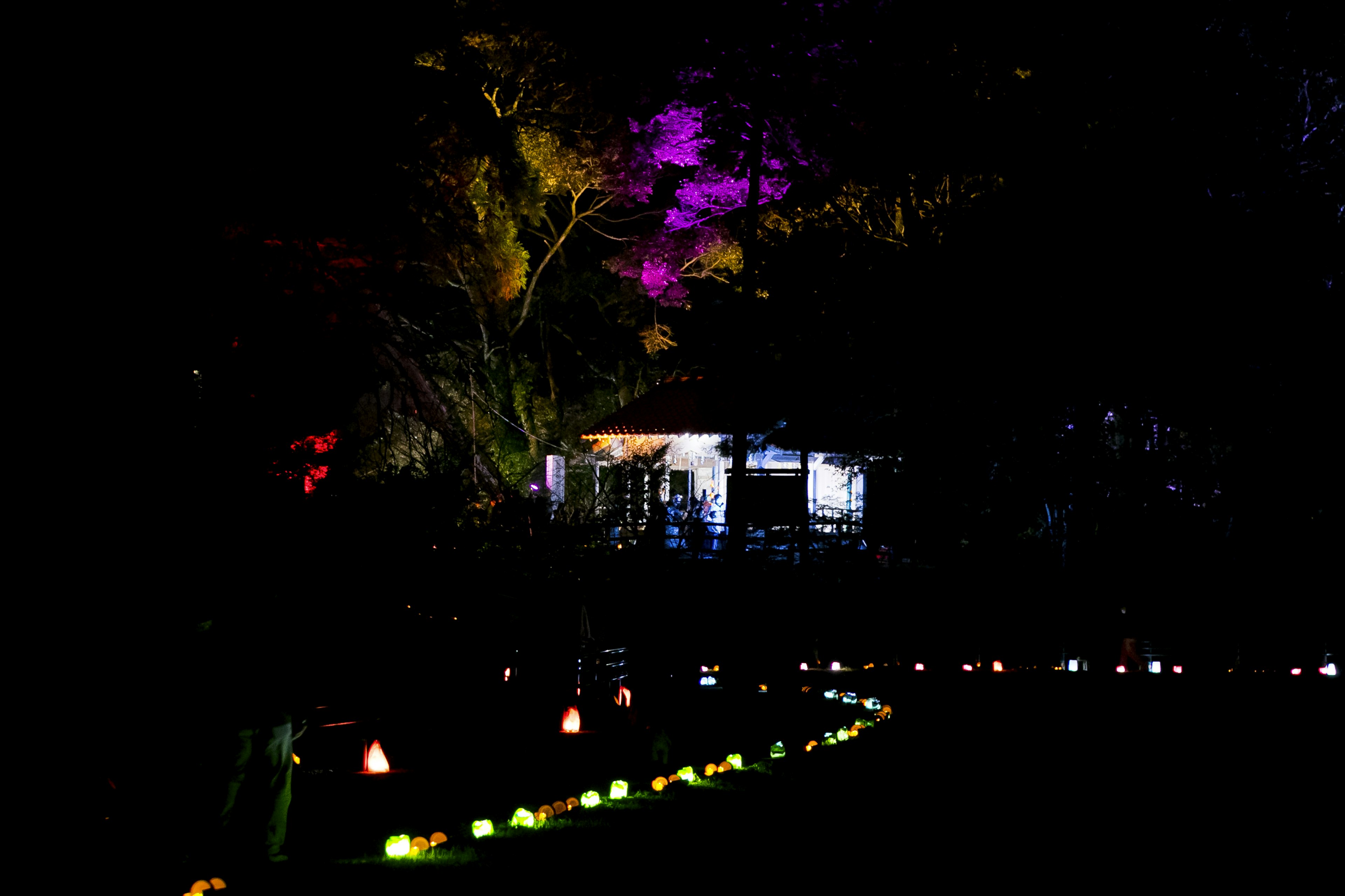 A garden with colorful lighting and a small house in a dark background