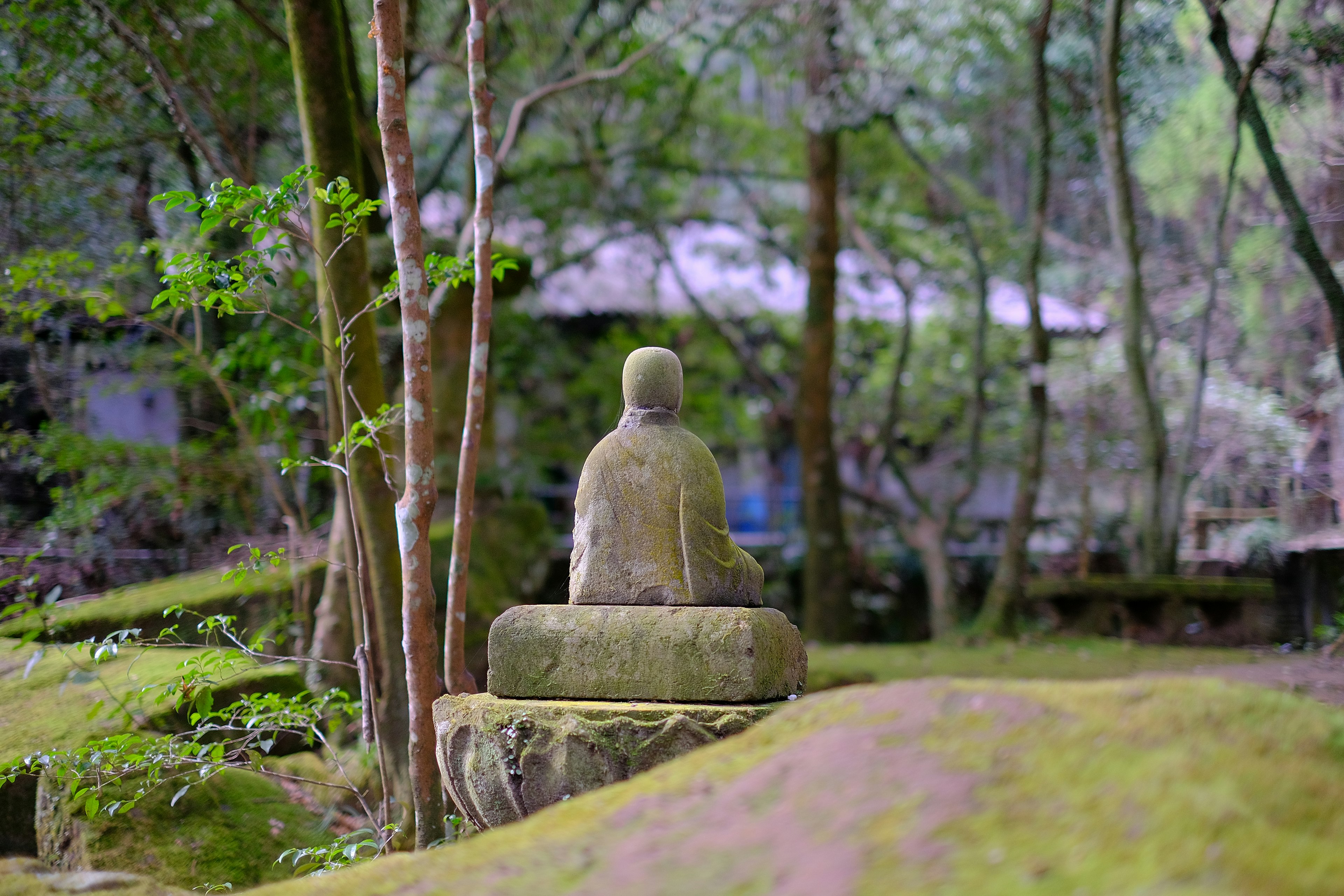 静かな森の中にある古い仏像と苔の生えた地面