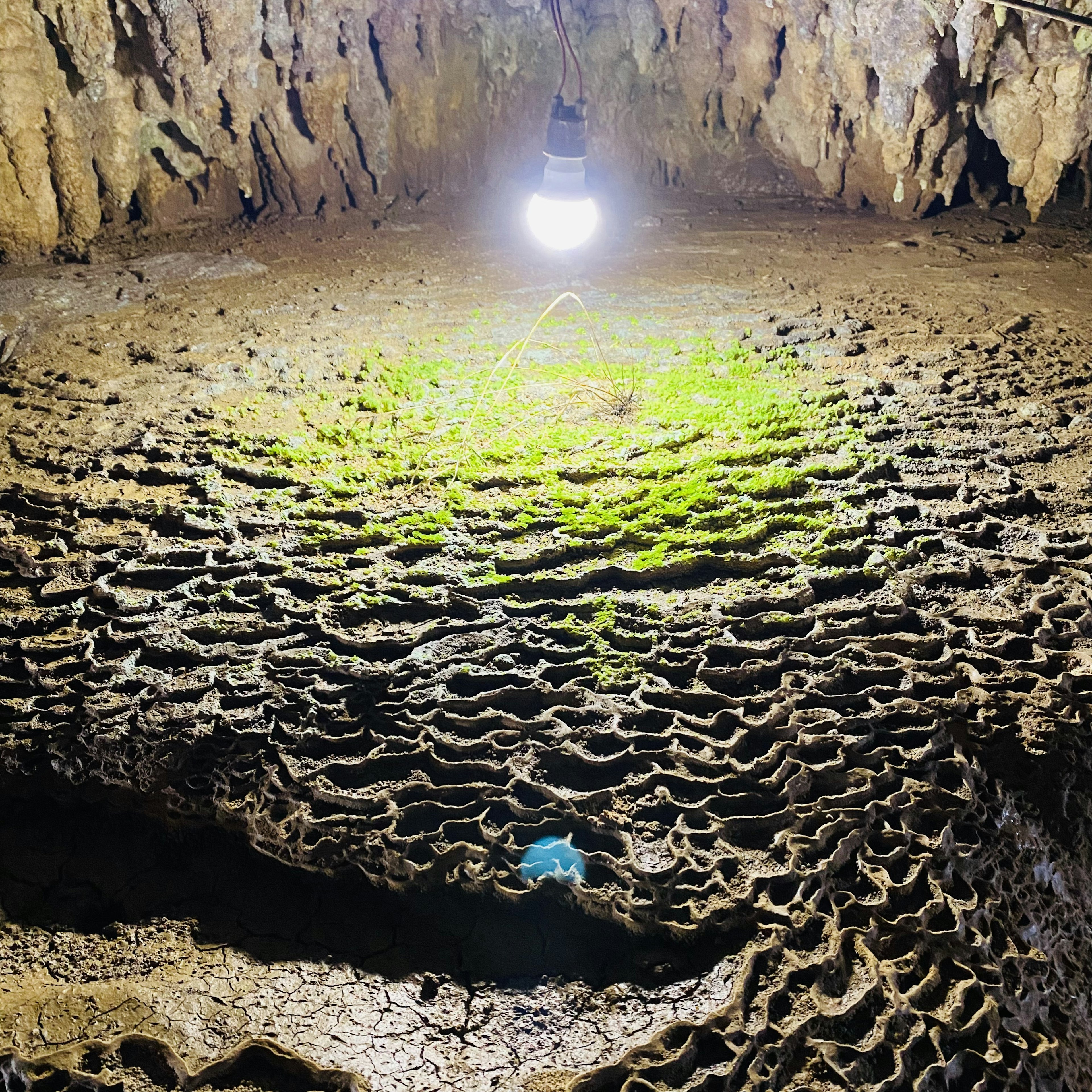 Interno di una grotta con muschio verde e luce sopra