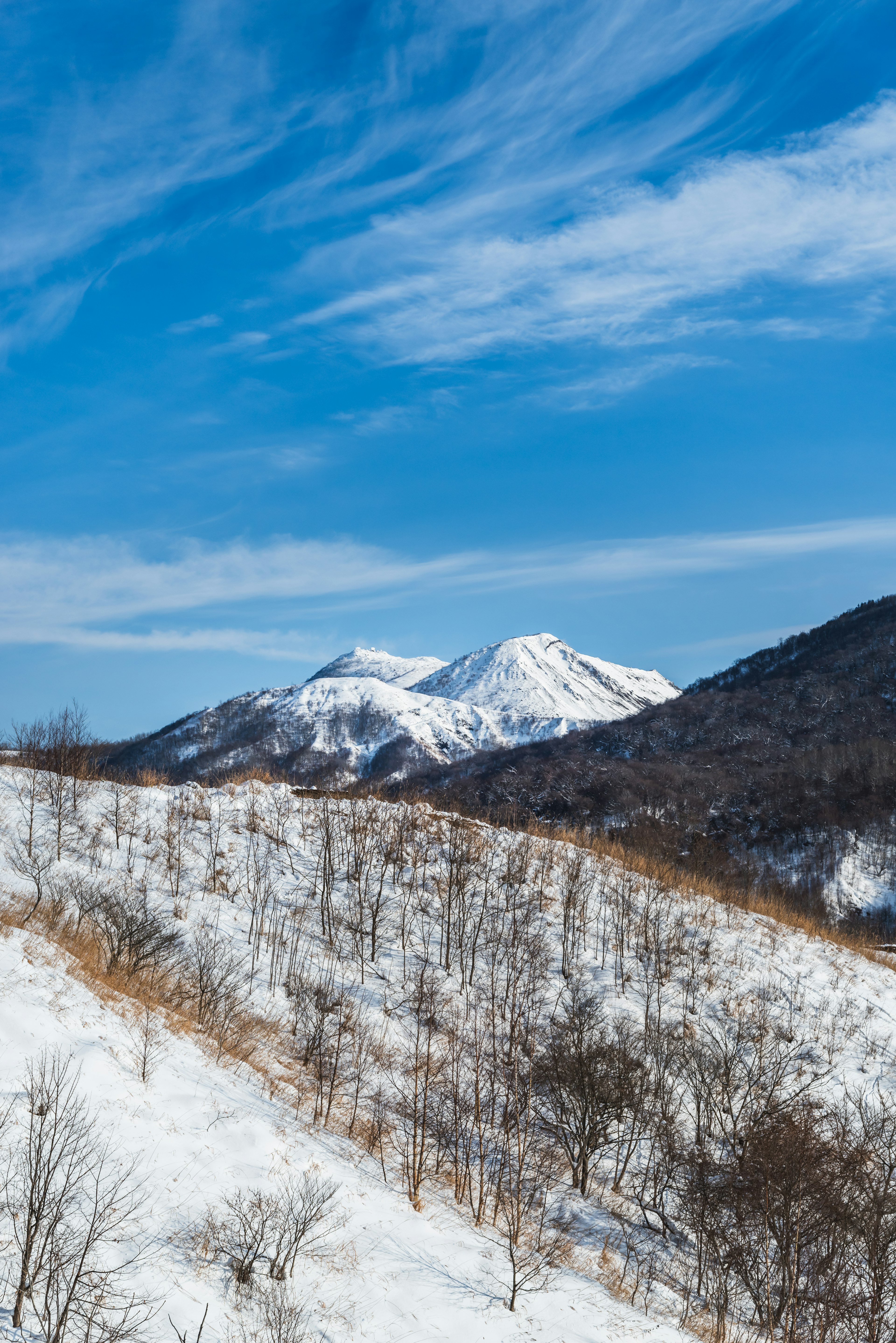 青空の下に広がる雪に覆われた山々の風景