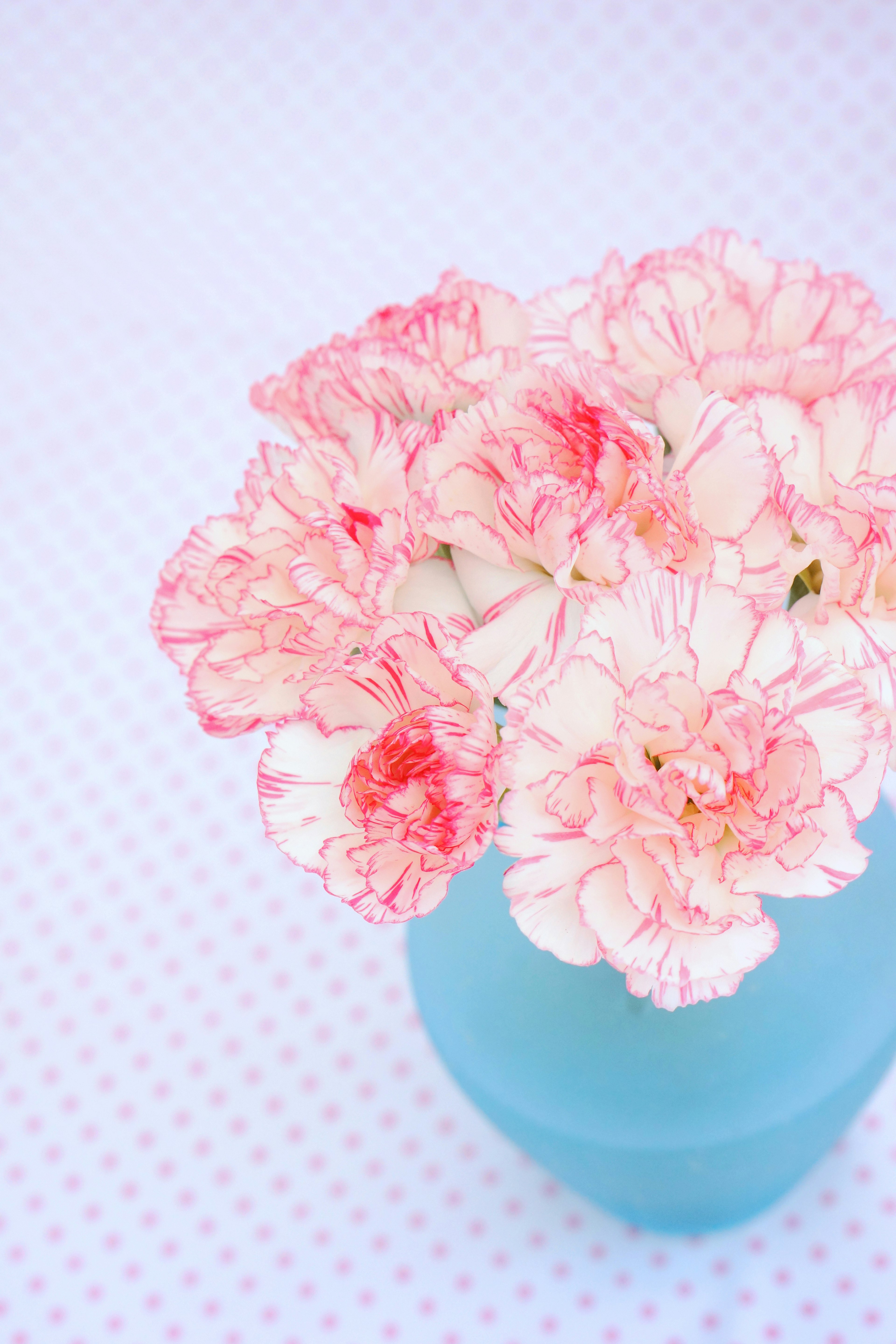 青い花瓶に入ったピンクと白のカーネーションの花束