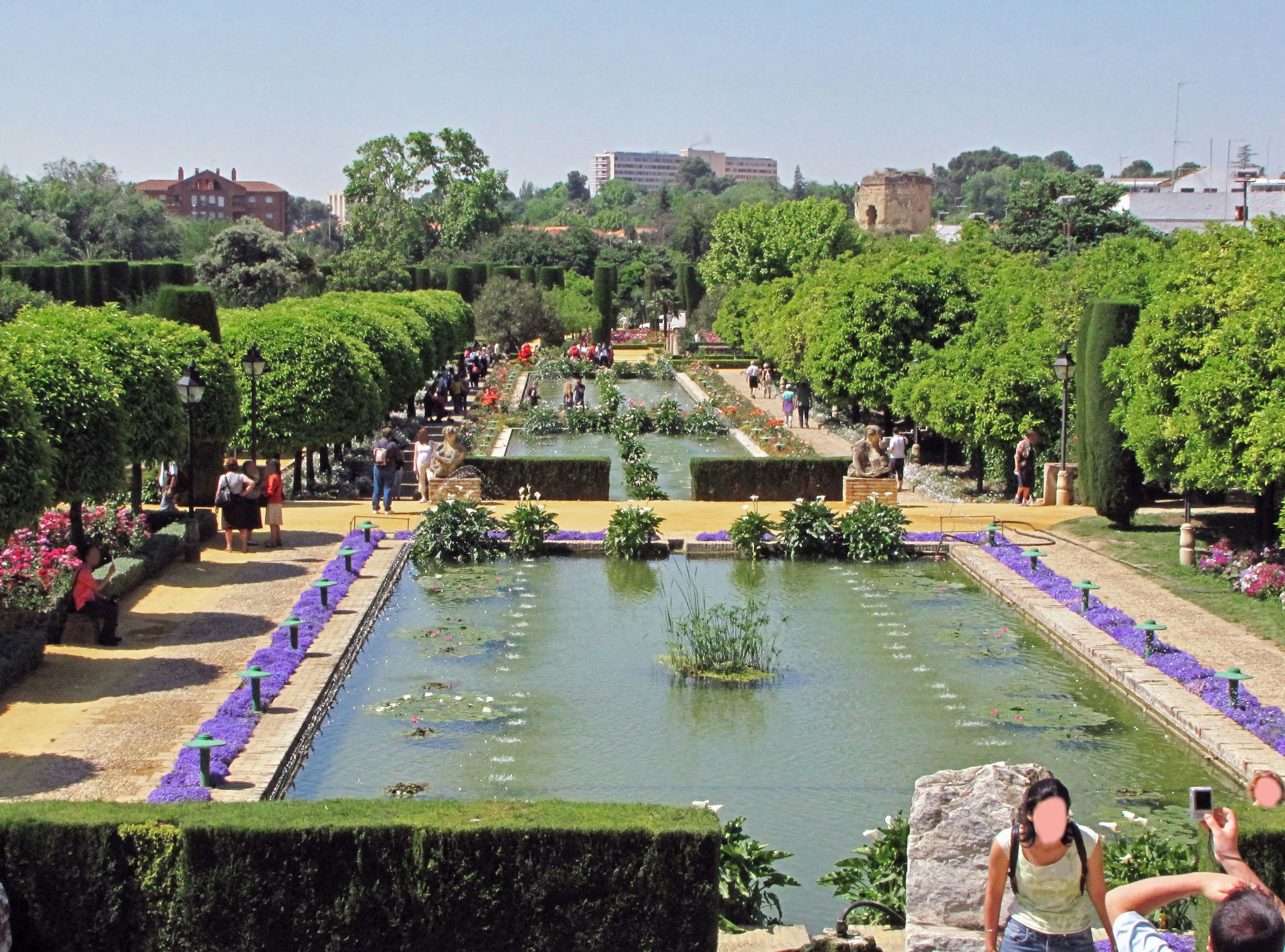 Vue pittoresque d'un beau jardin avec une végétation luxuriante et un étang des fleurs colorées en fleurs