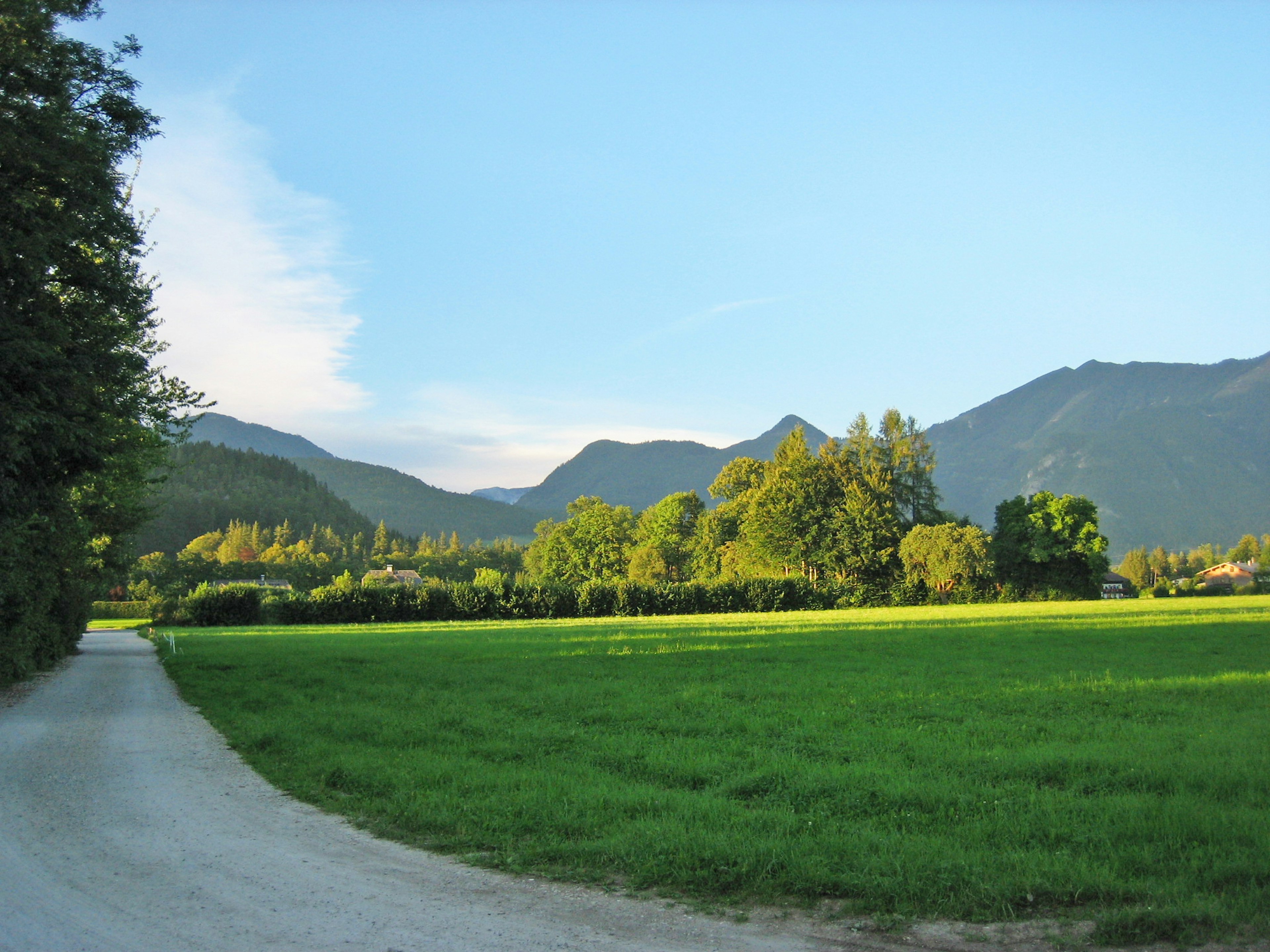 Paysage verdoyant avec des montagnes sous un ciel bleu