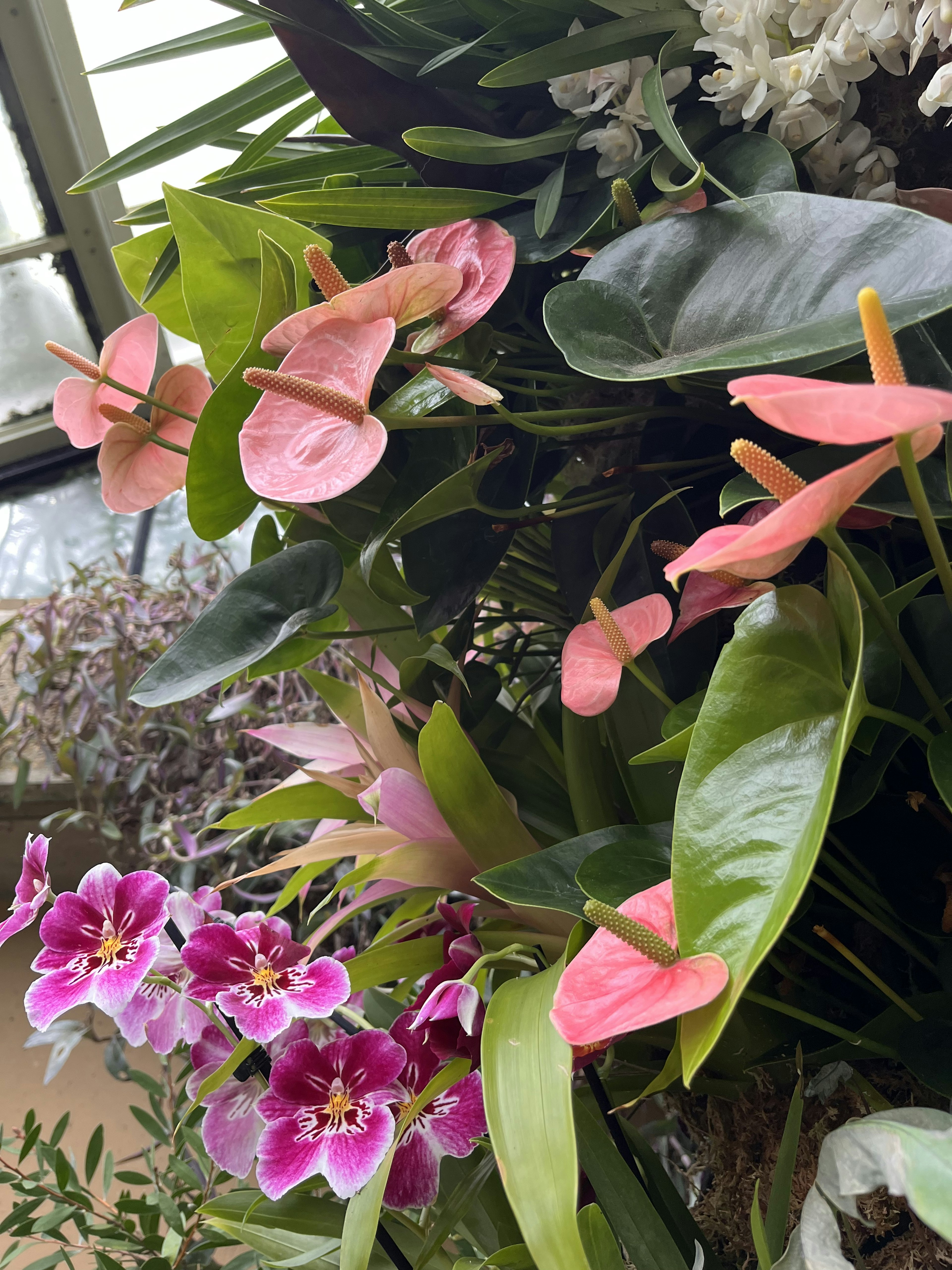 Lebendige Blumenanordnung mit rosa und lila Blumen