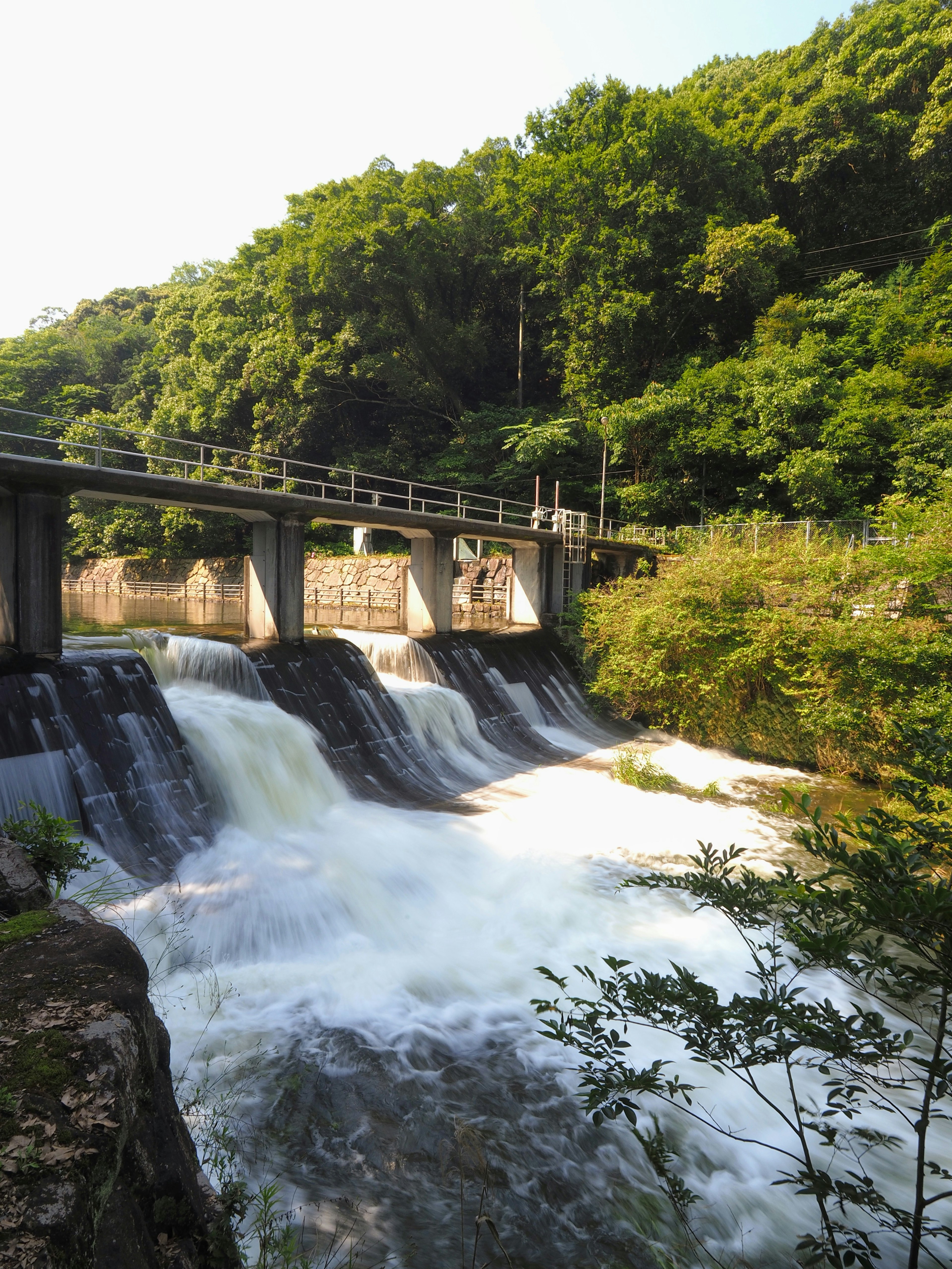 Malerscher Blick auf einen Damm mit Wasserfall umgeben von üppigem Grün