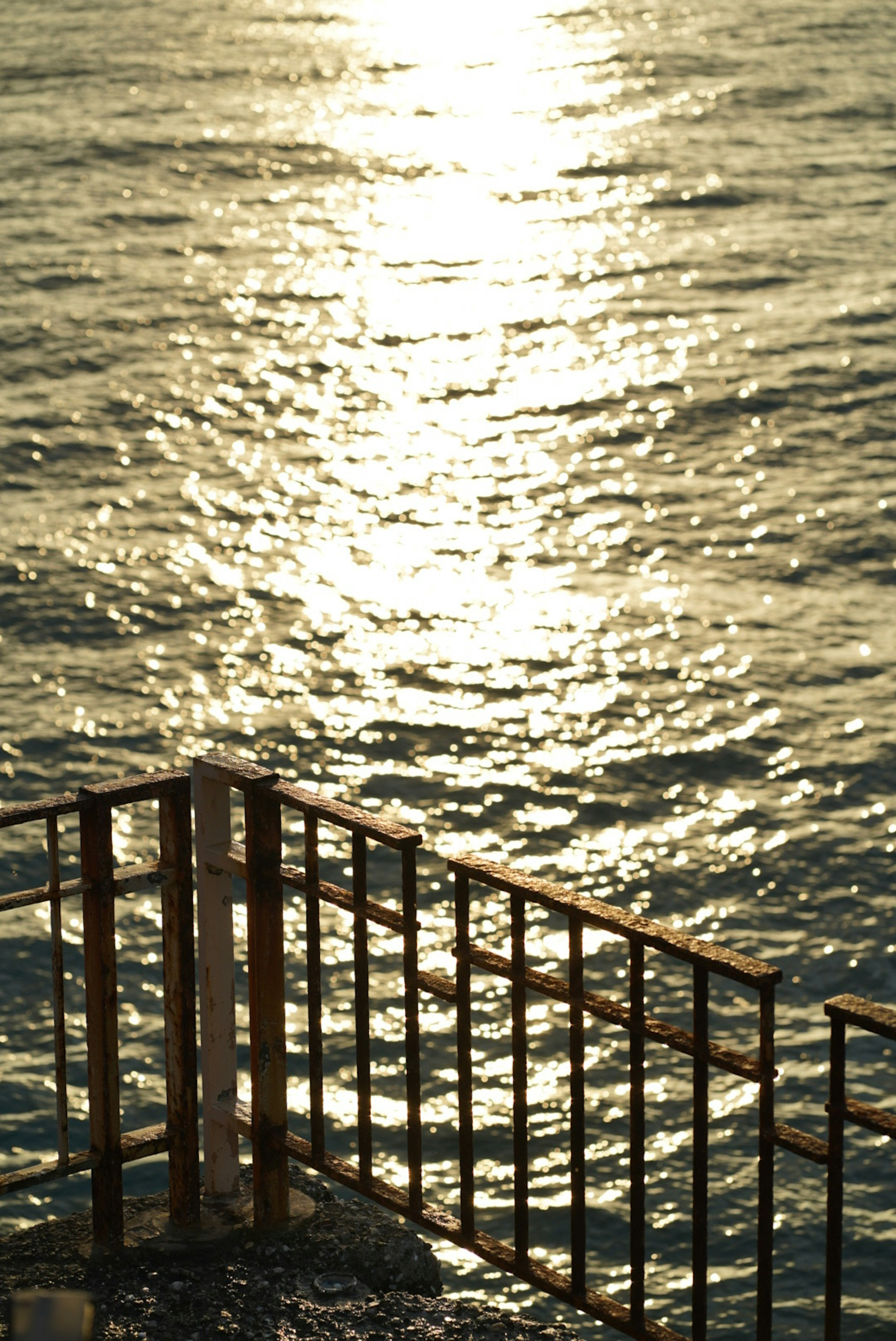 Glistening water surface with a metal railing