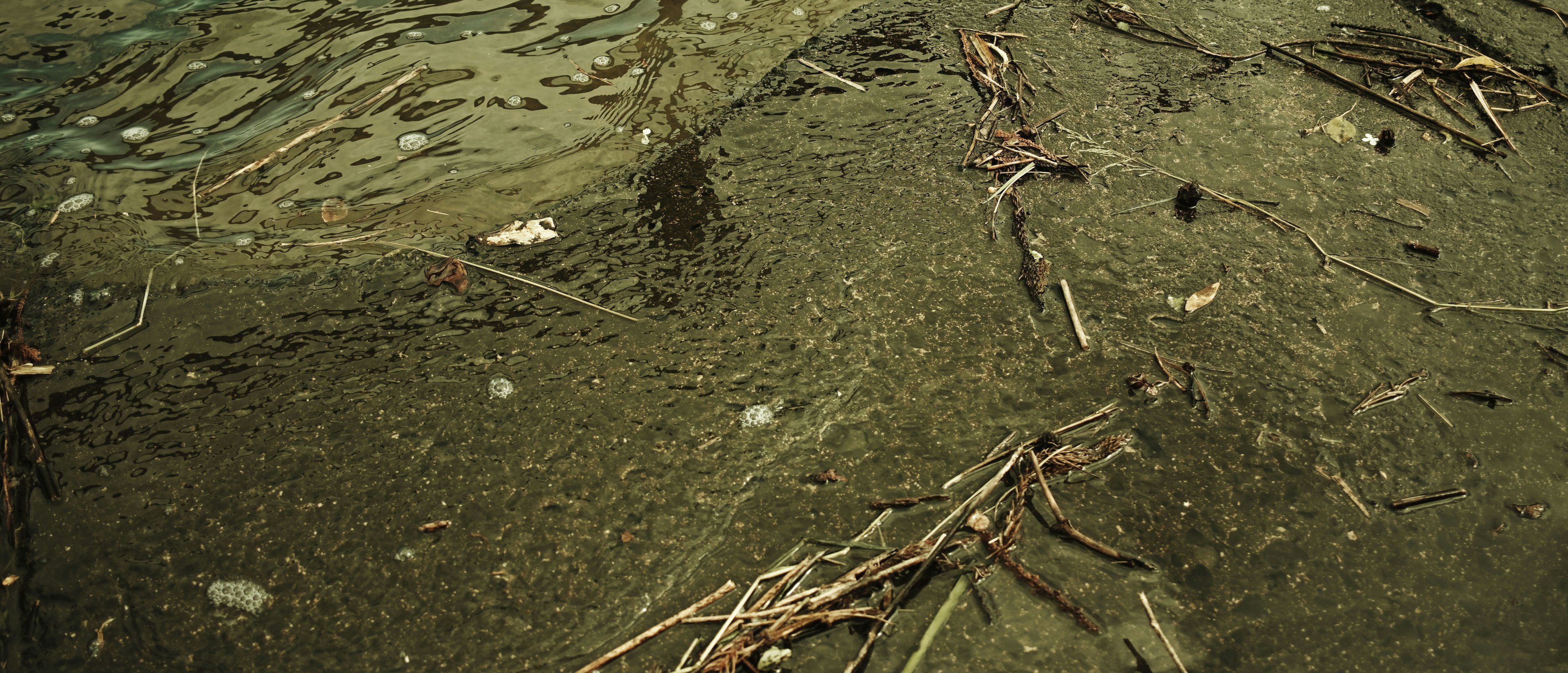 Close-up of wet ground mixed with mud and plant debris