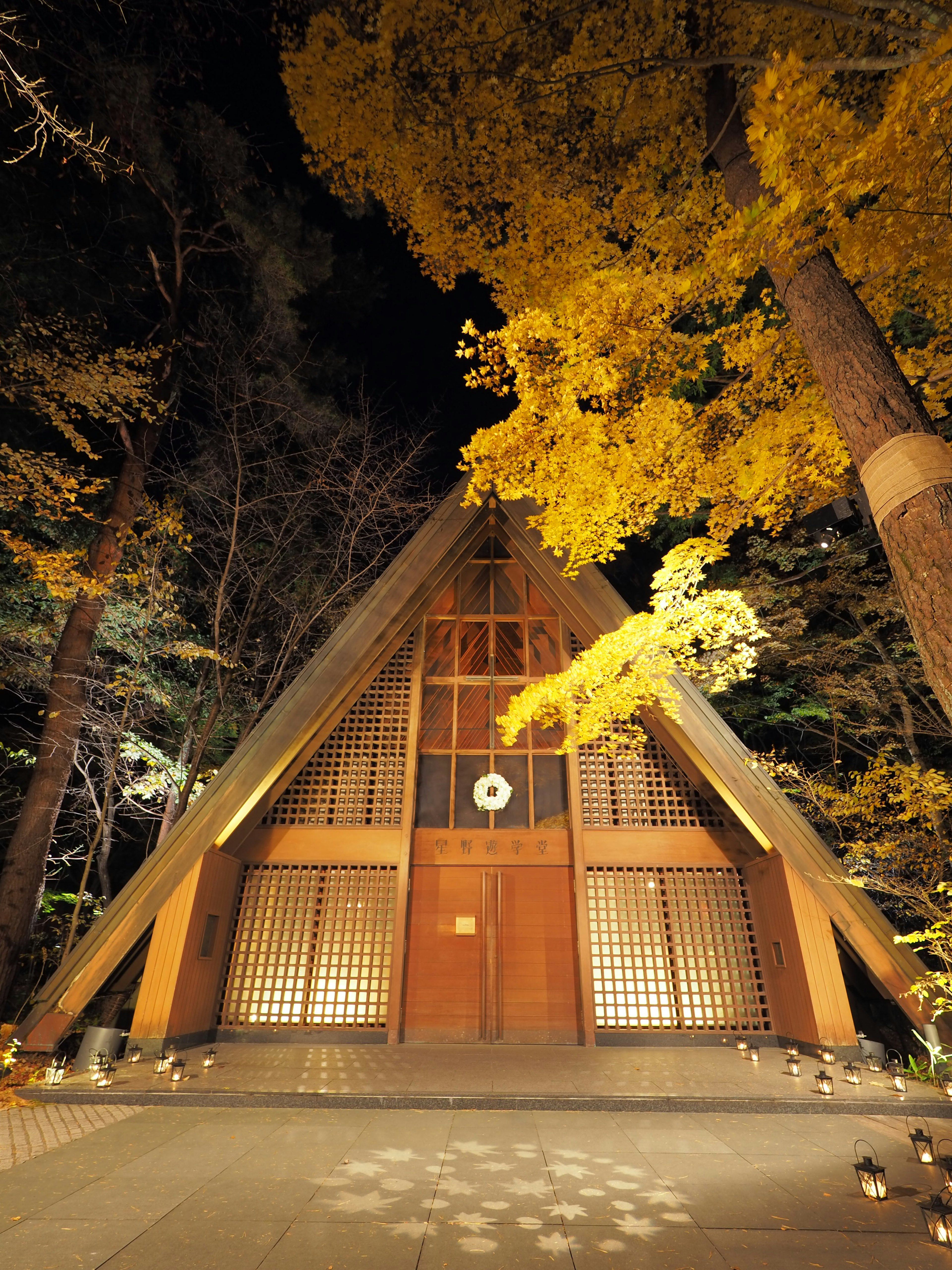 Traditional Japanese building illuminated at night surrounded by yellow trees