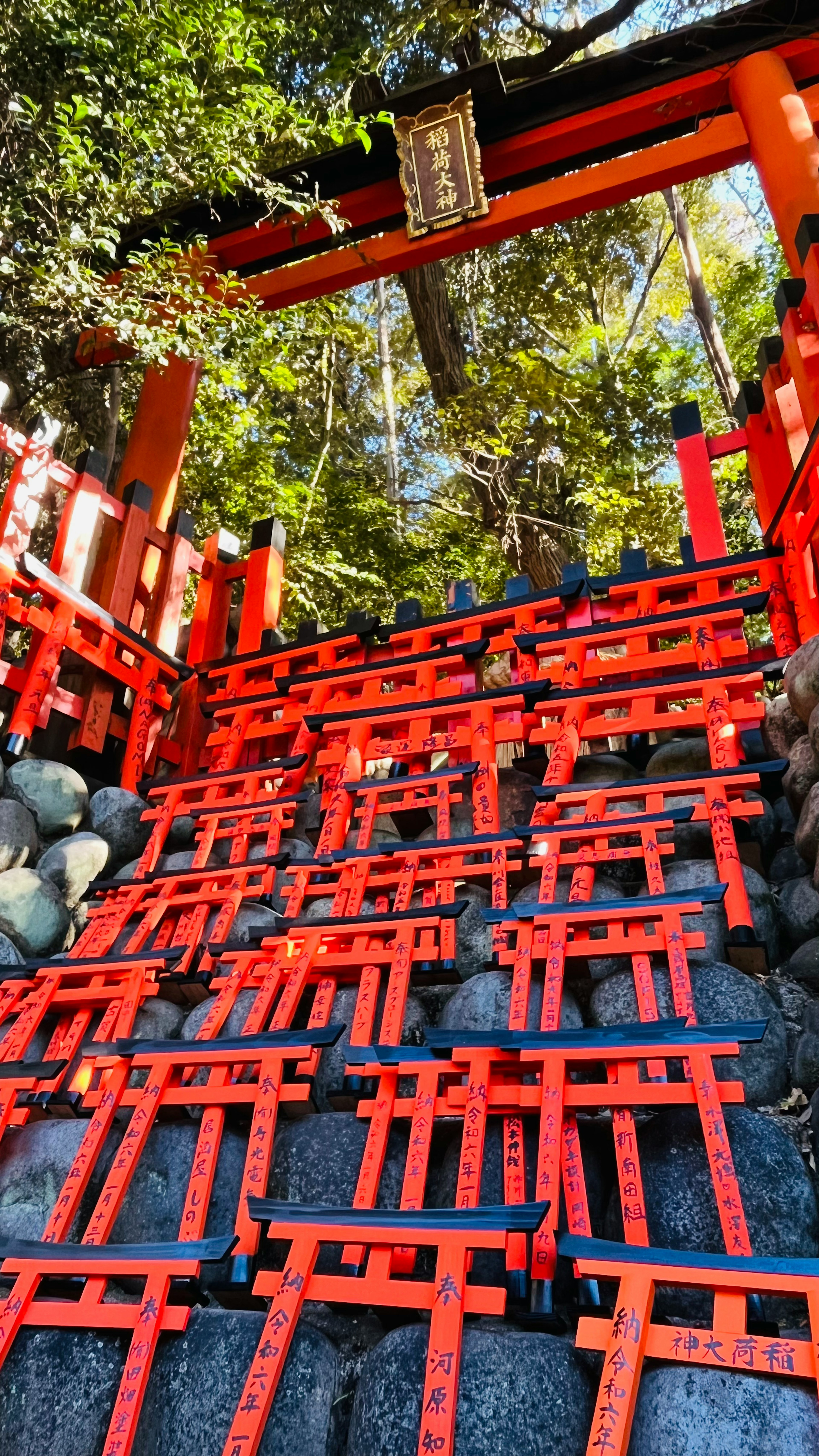 赤い鳥居が並ぶ階段の風景と周囲の緑