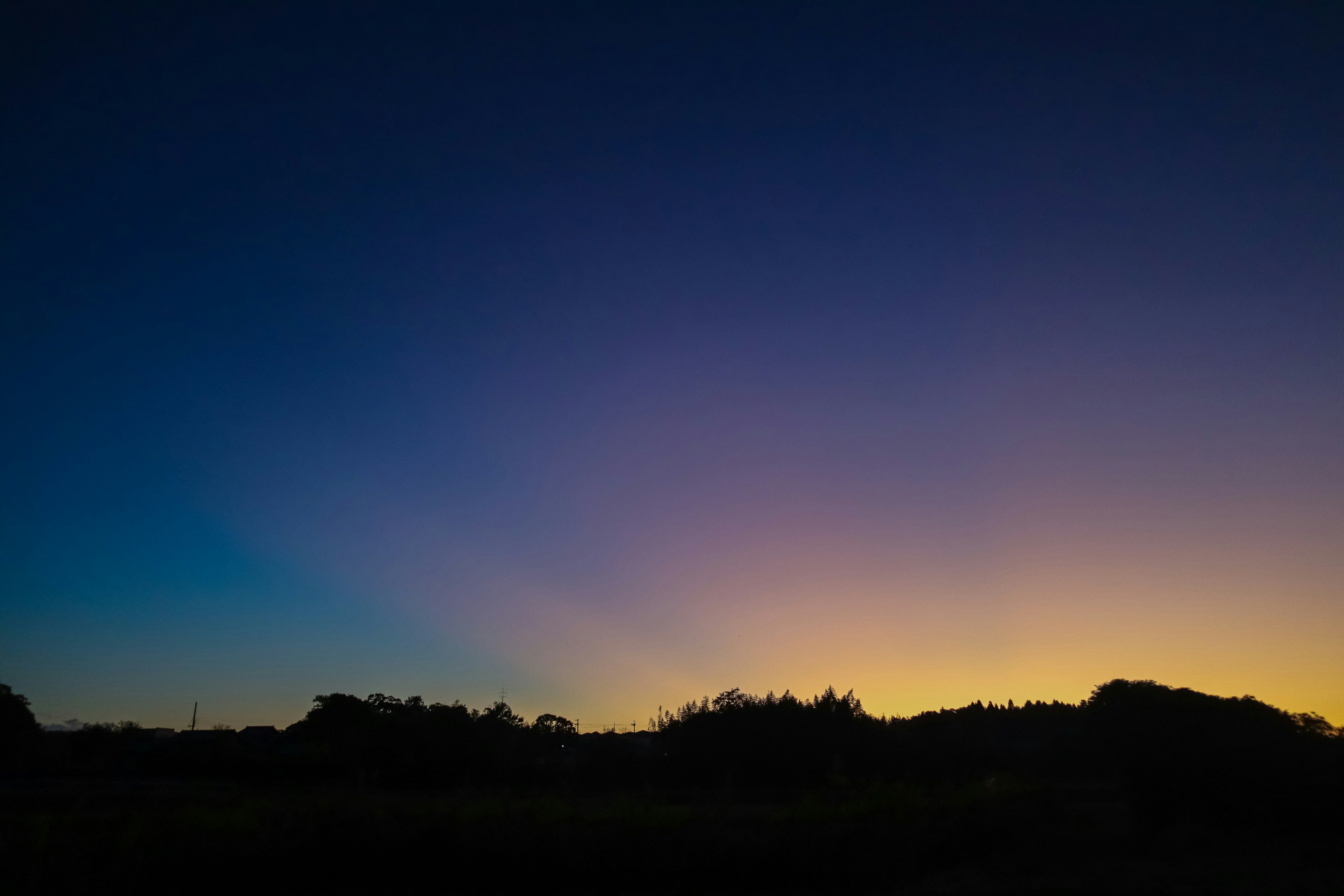 Bellissimo gradiente di cielo al crepuscolo con silhouette di alberi