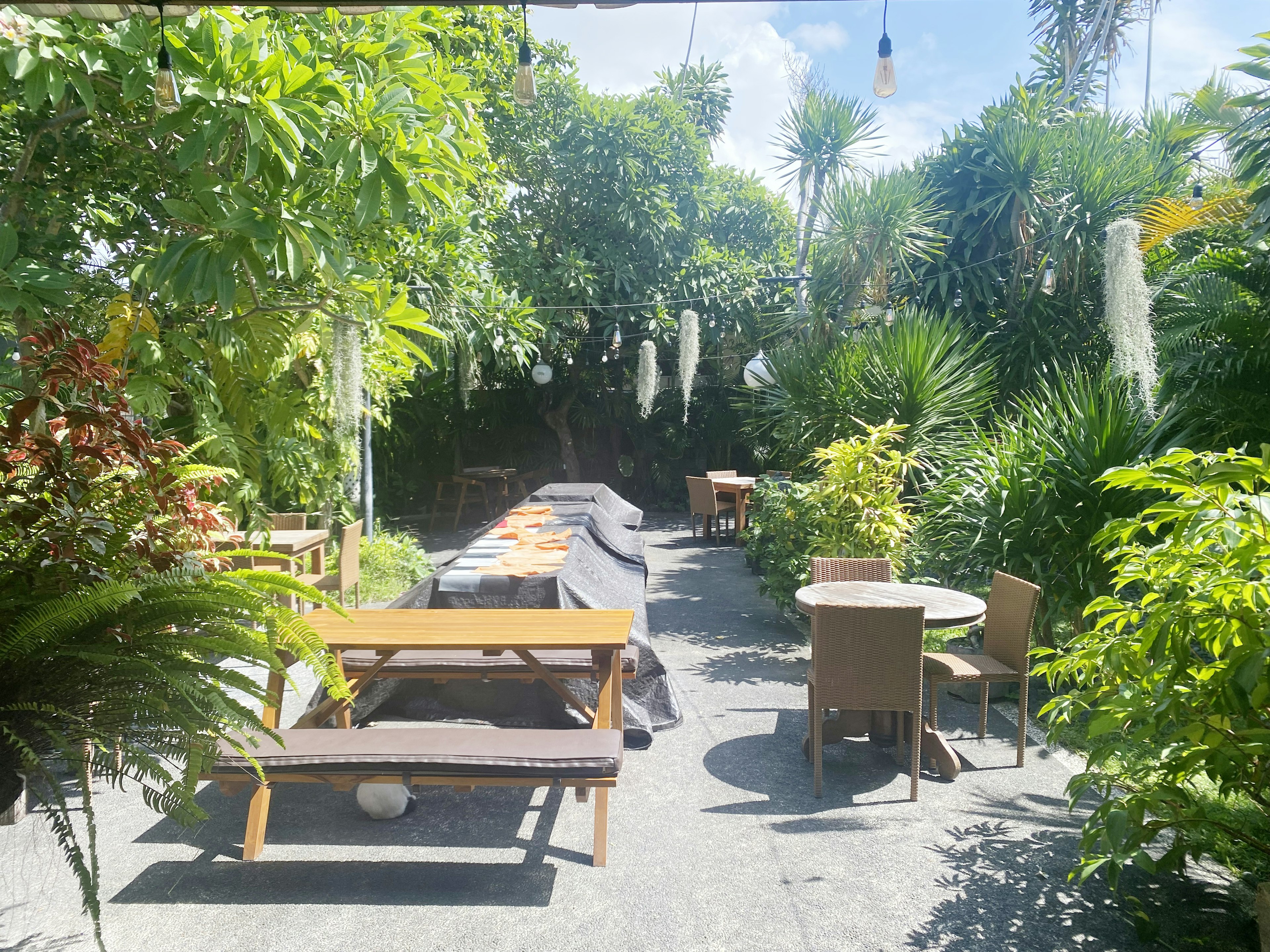 Jardin luxuriant avec des tables et chaises en bois, lumière naturelle créant une atmosphère relaxante