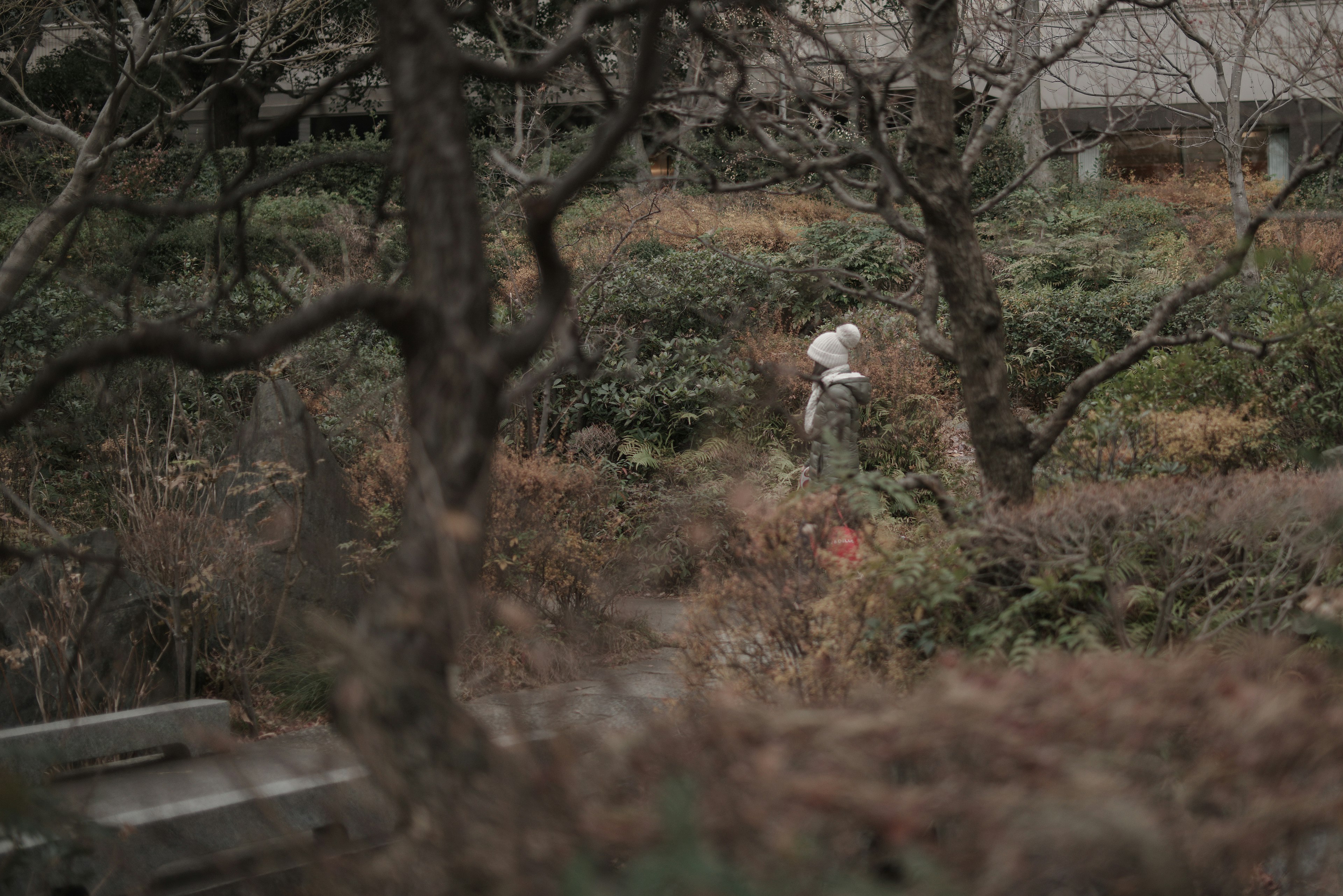 A person walking in a natural setting with green and brown vegetation