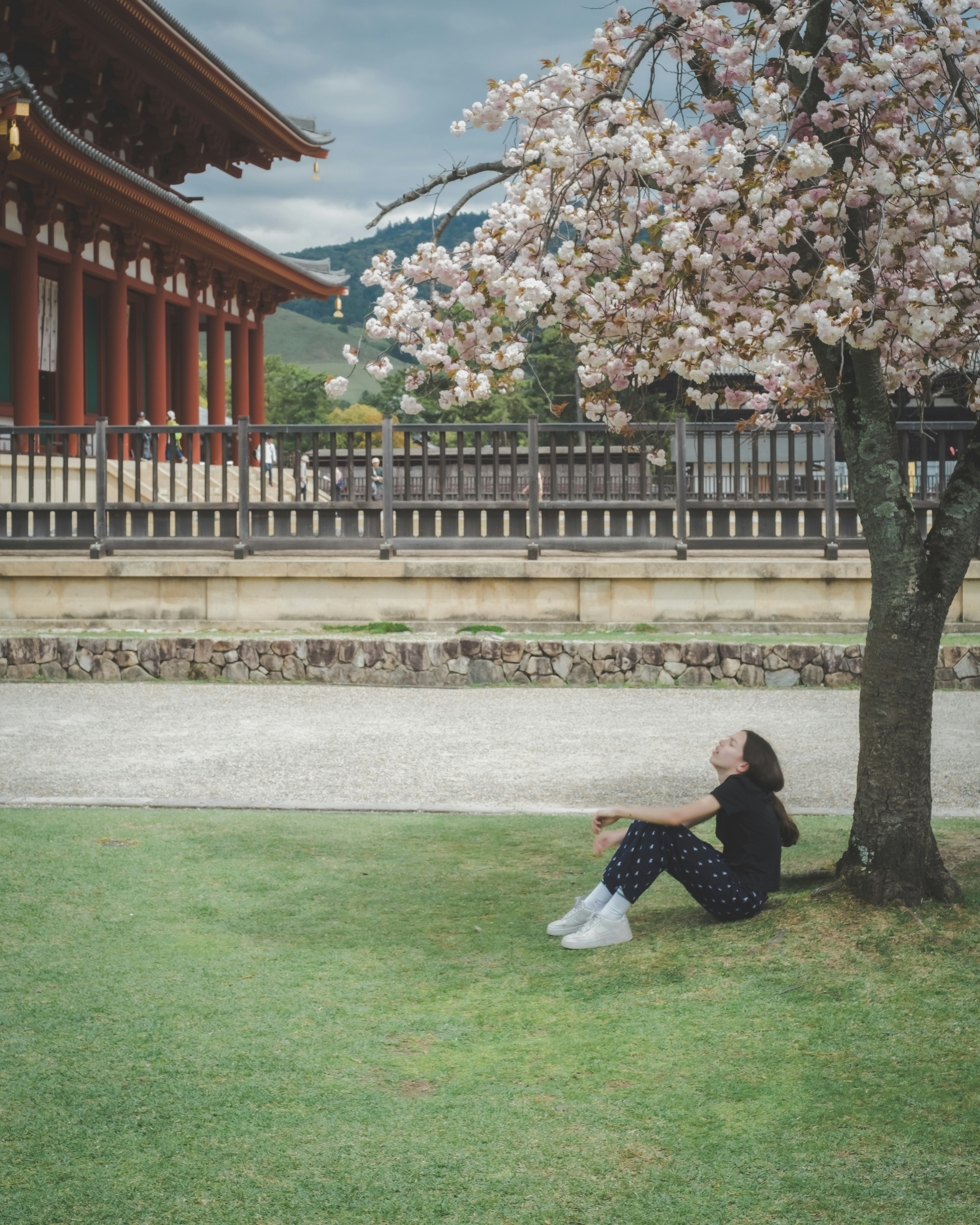 Woman sitting under a cherry blossom tree with a traditional building behind