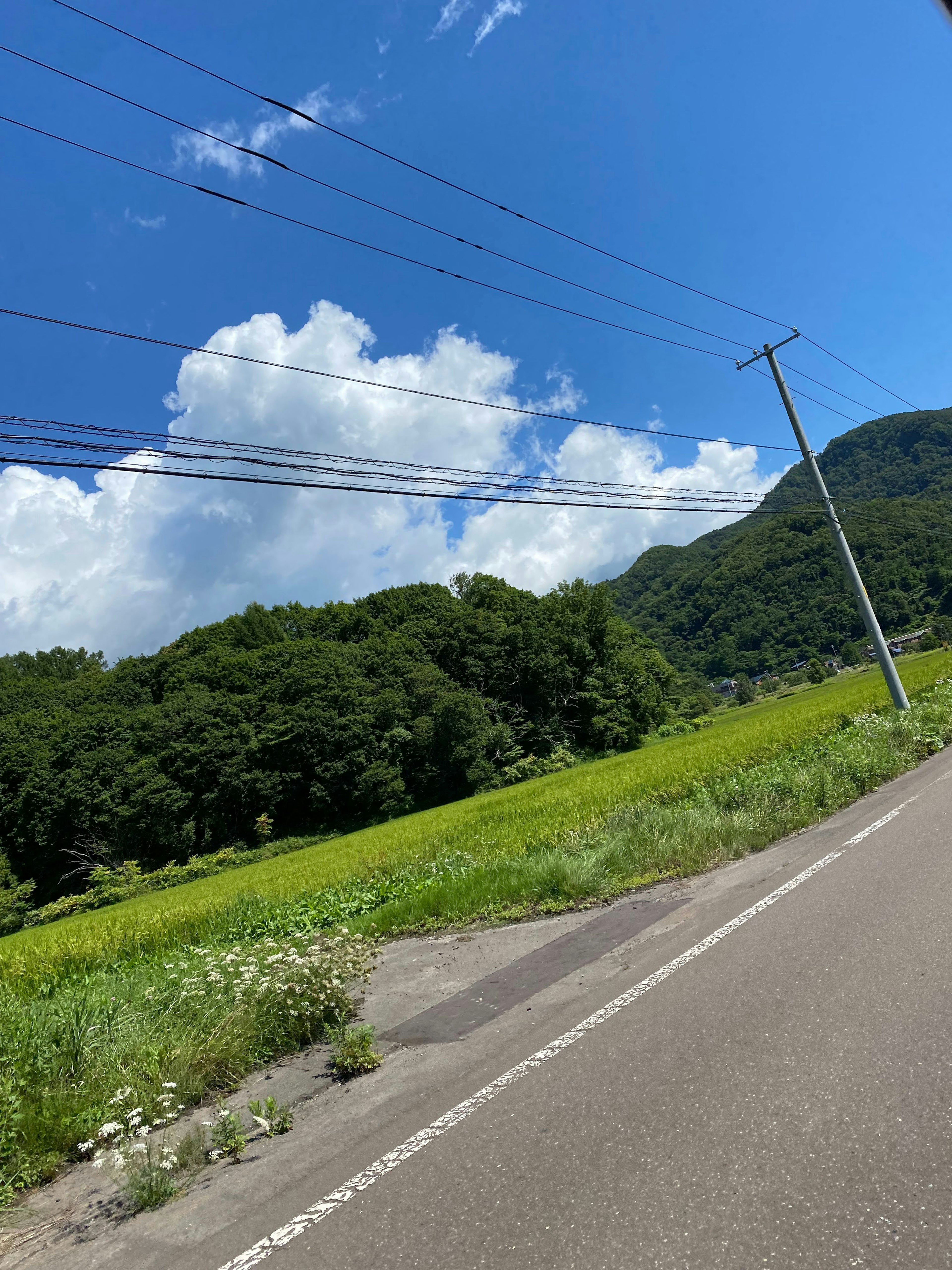 青空と白い雲が広がる風景 緑の田んぼと山が見える