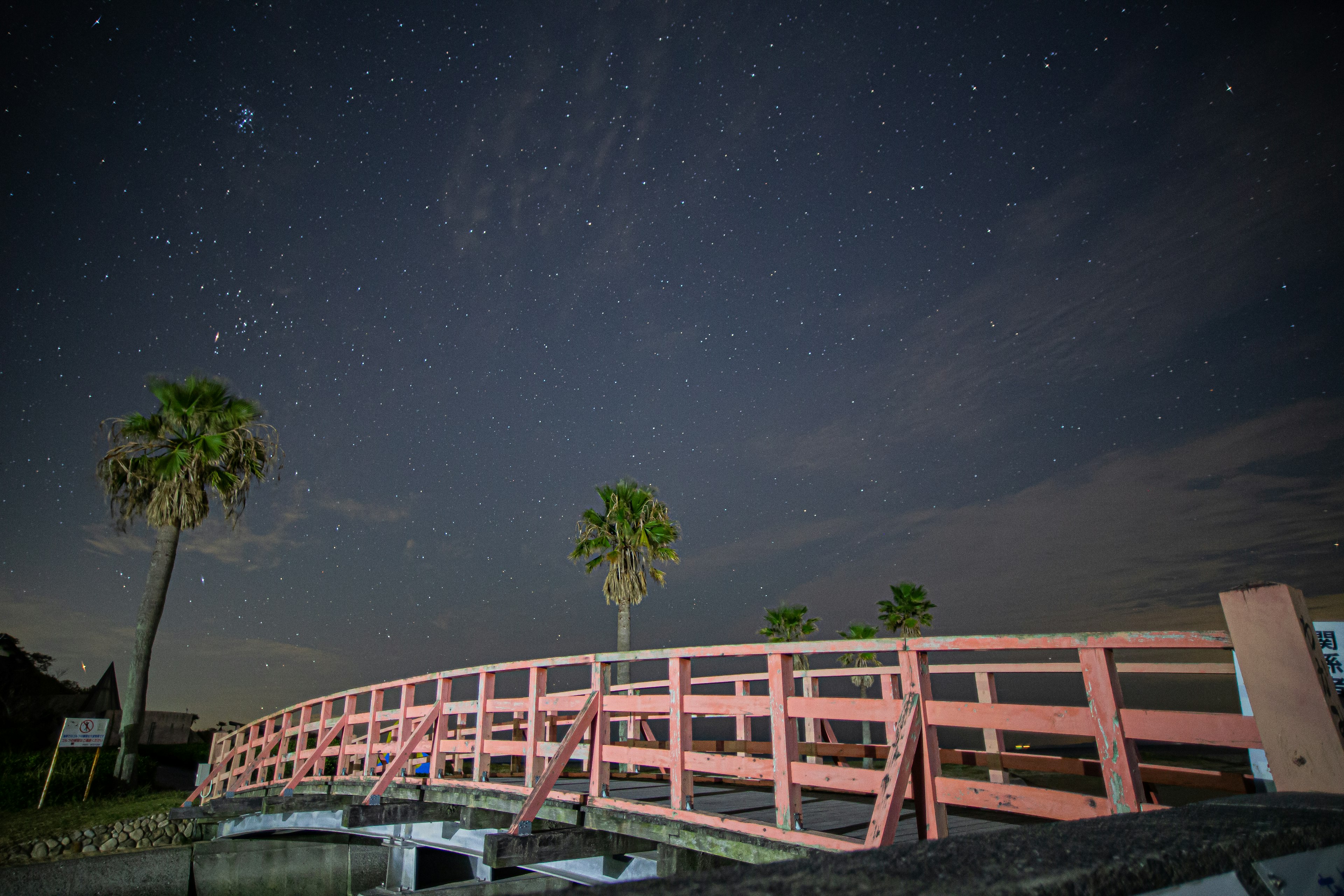 A pink bridge under a starry sky with palm trees