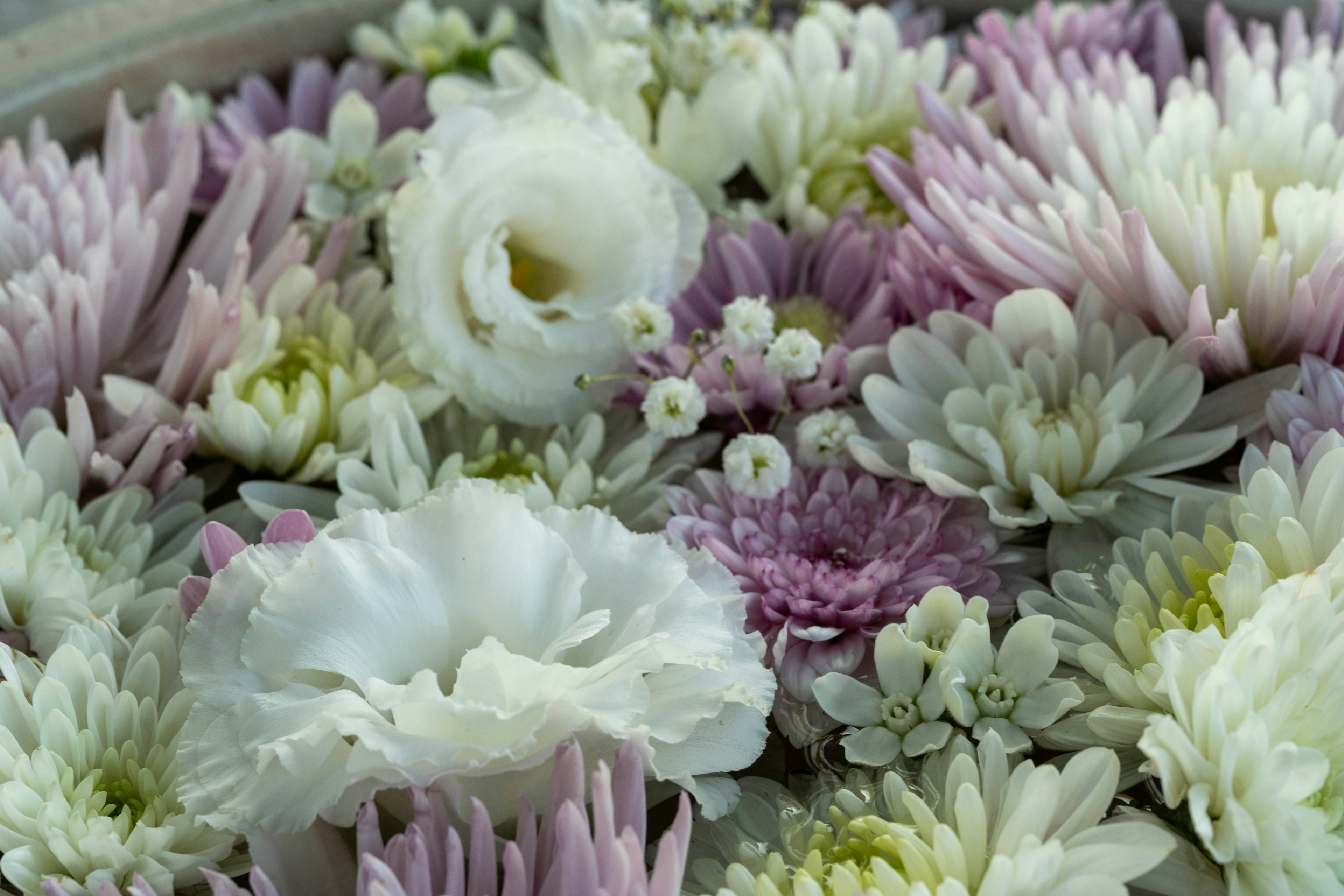 A vibrant arrangement of various flowers in soft pastel colors