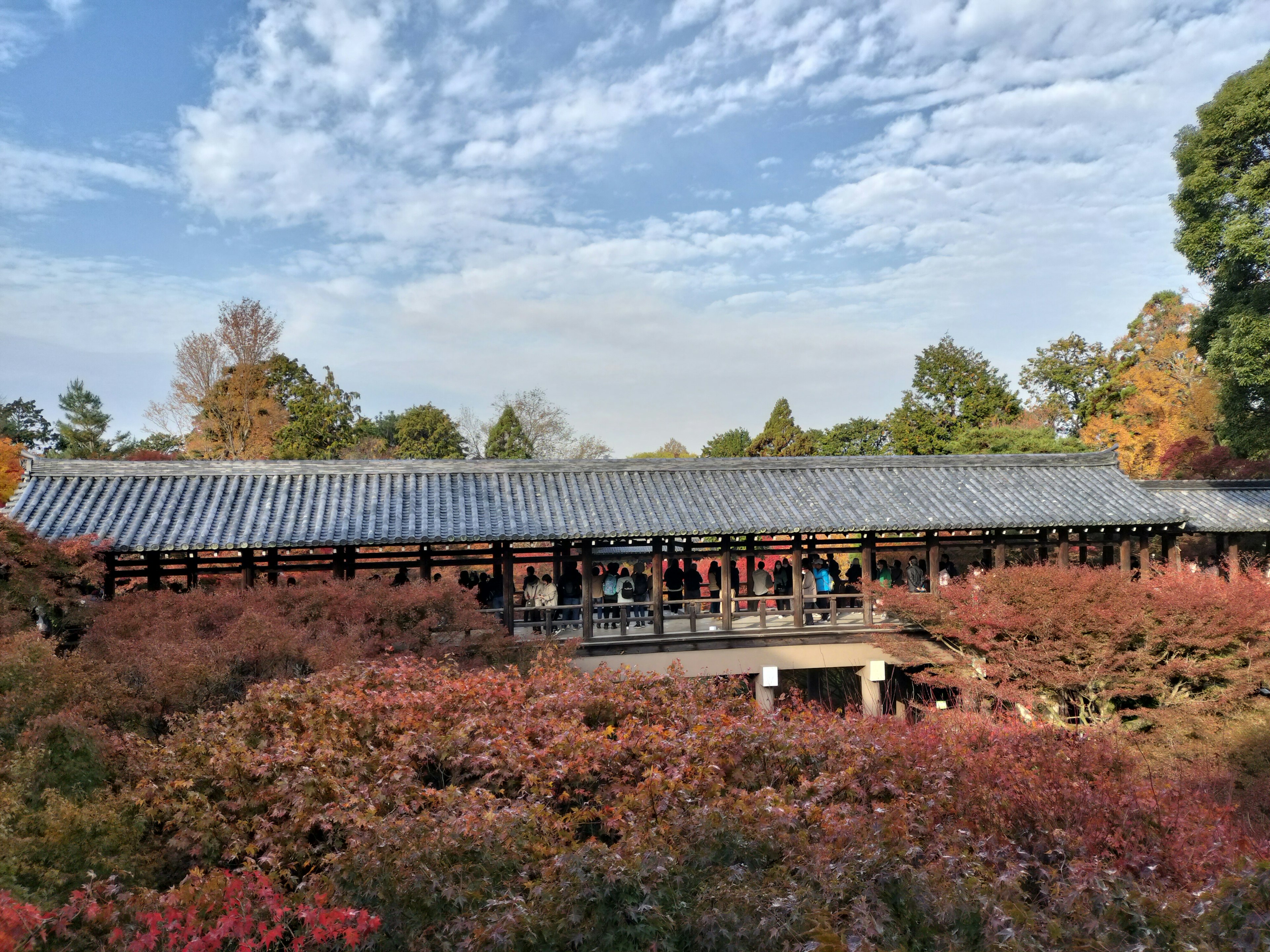 紅葉に囲まれた伝統的な建物と青空