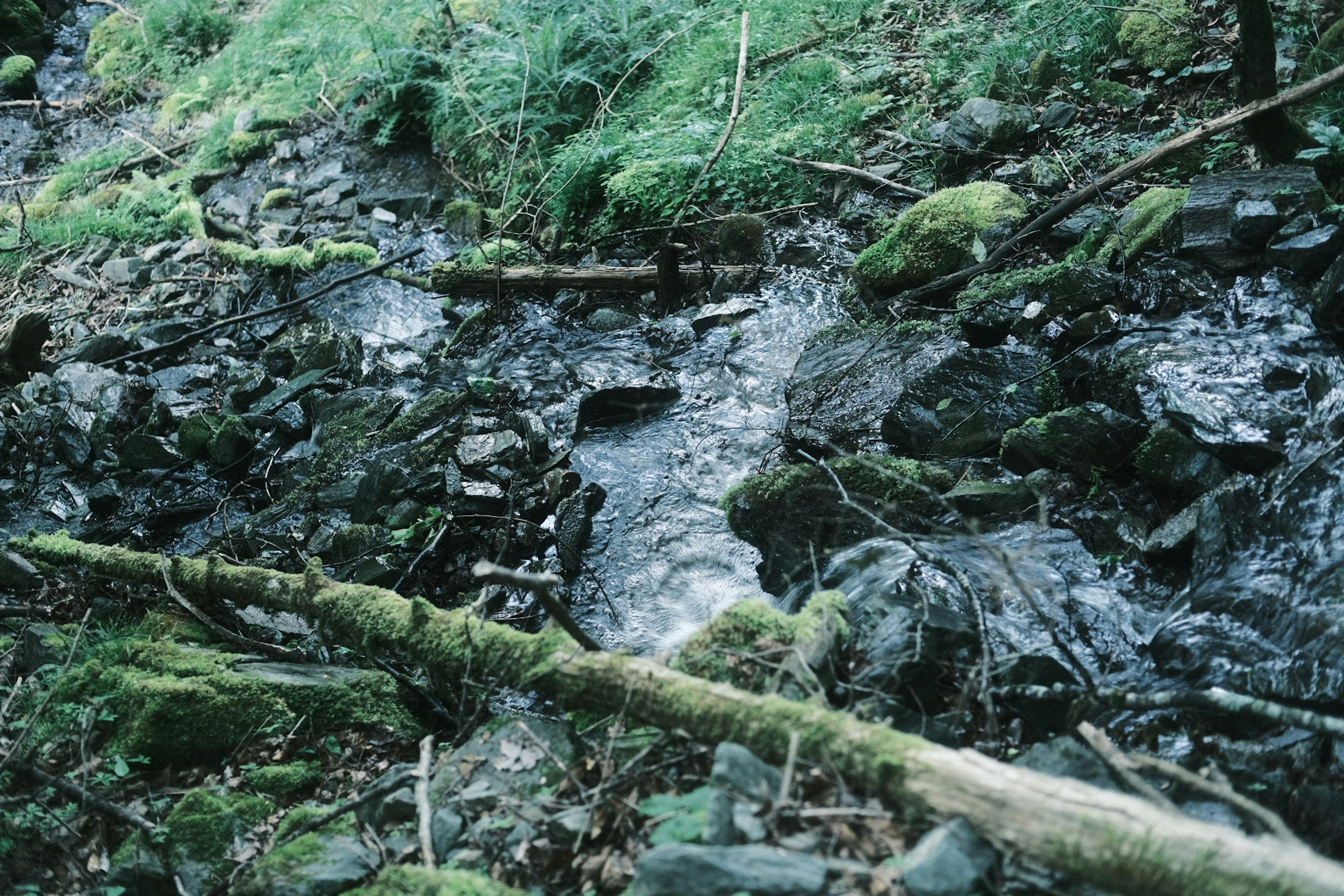 緑の苔に覆われた岩の間を流れる小川の風景