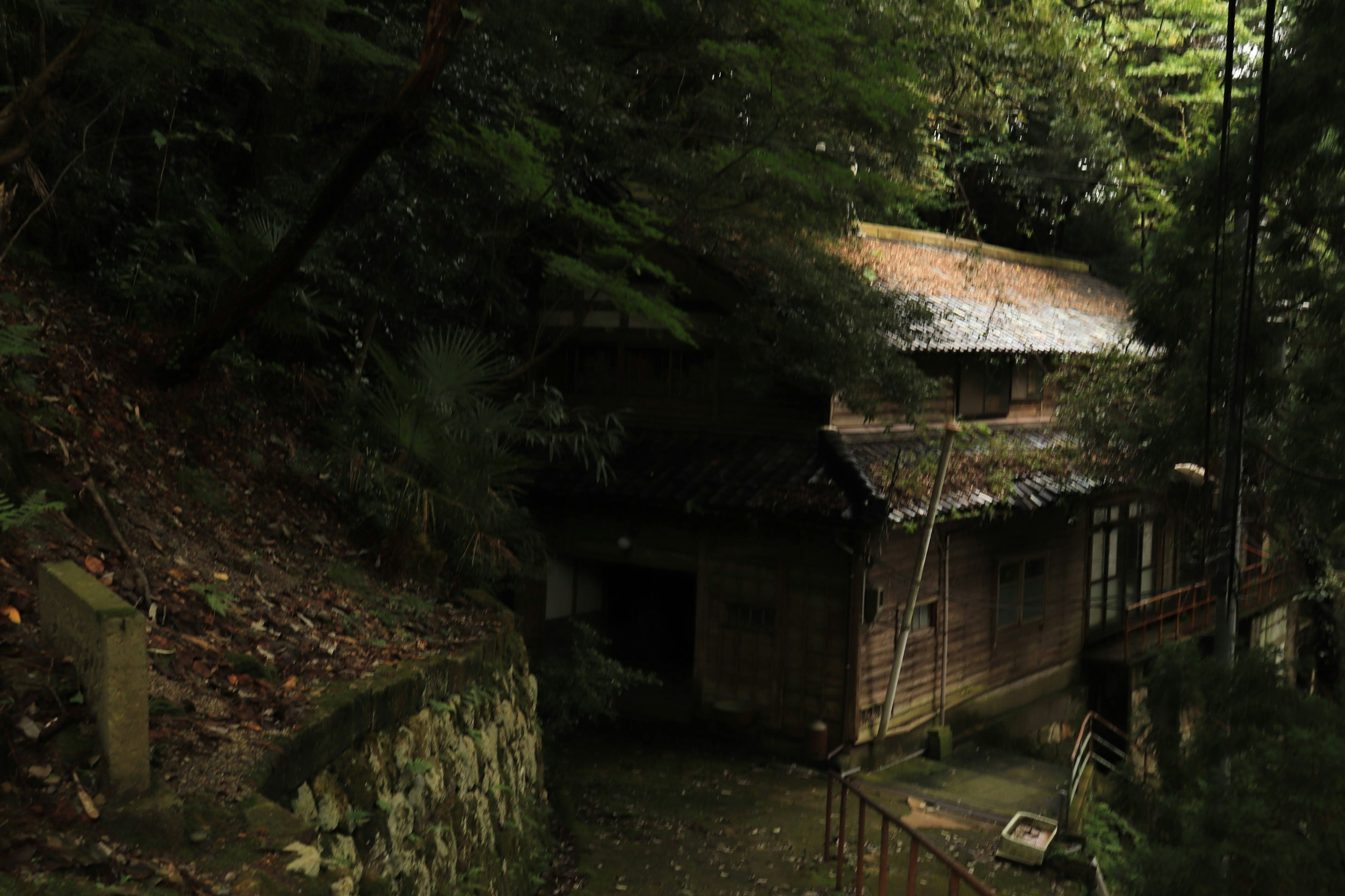 Une vieille maison en bois nichée dans une verdure luxuriante