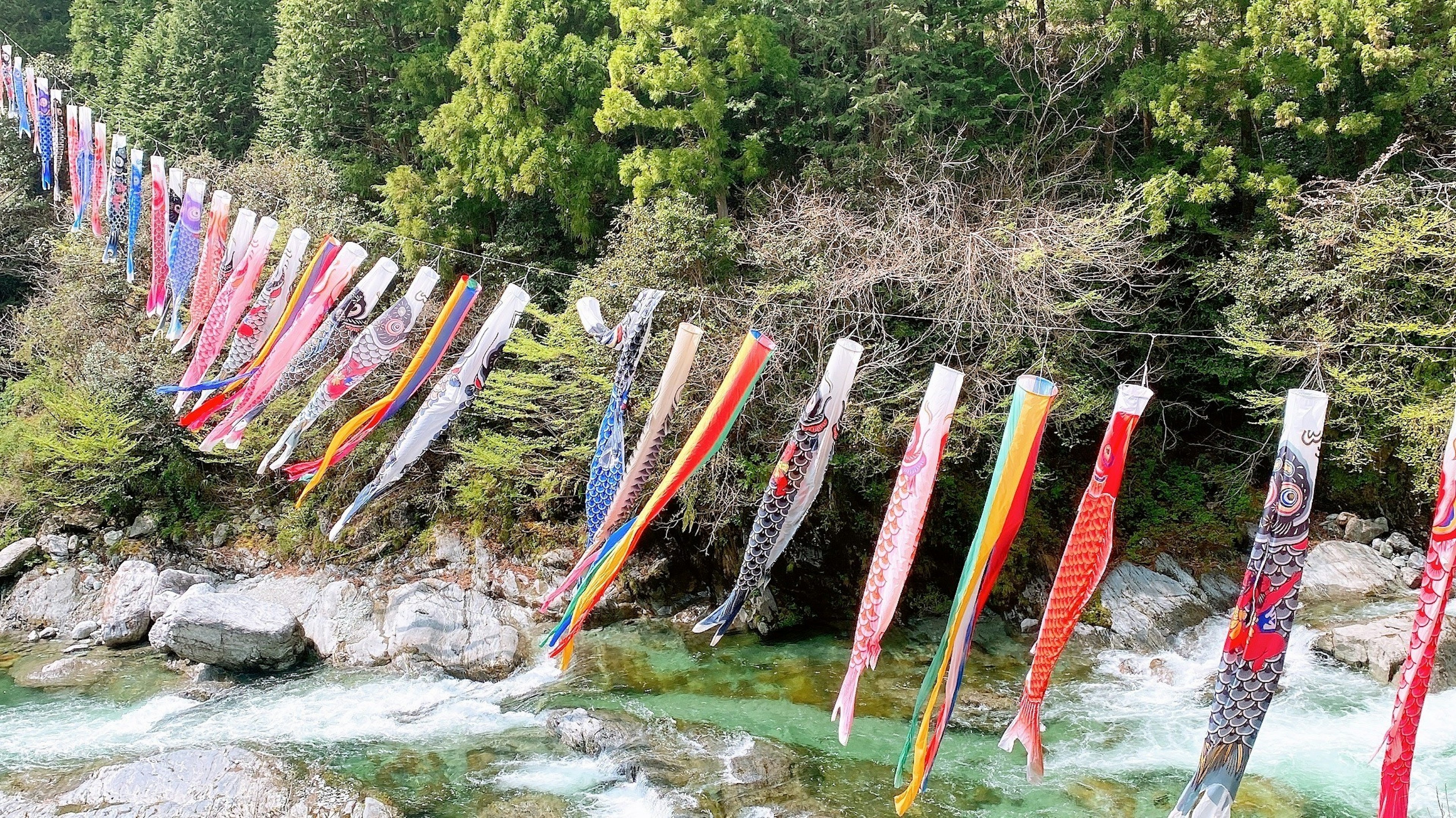 Bunte Koi-Flaggen, die über einen Fluss hängen