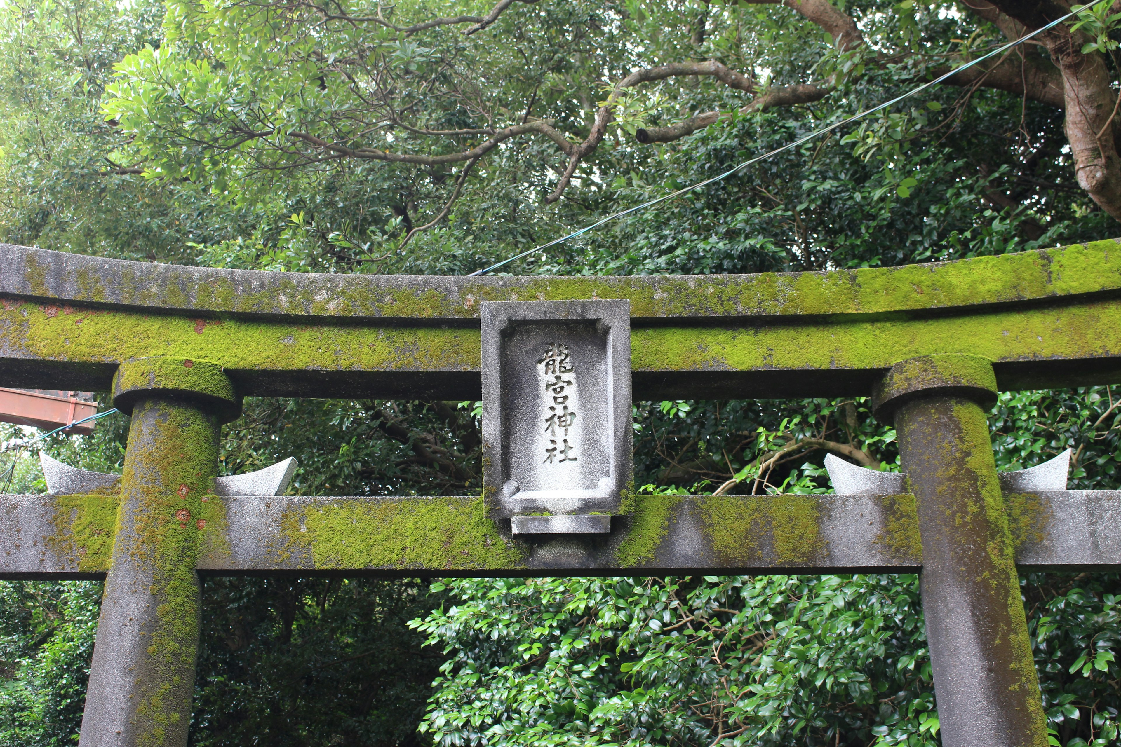 Torii coperto di muschio con una targa e vegetazione lussureggiante