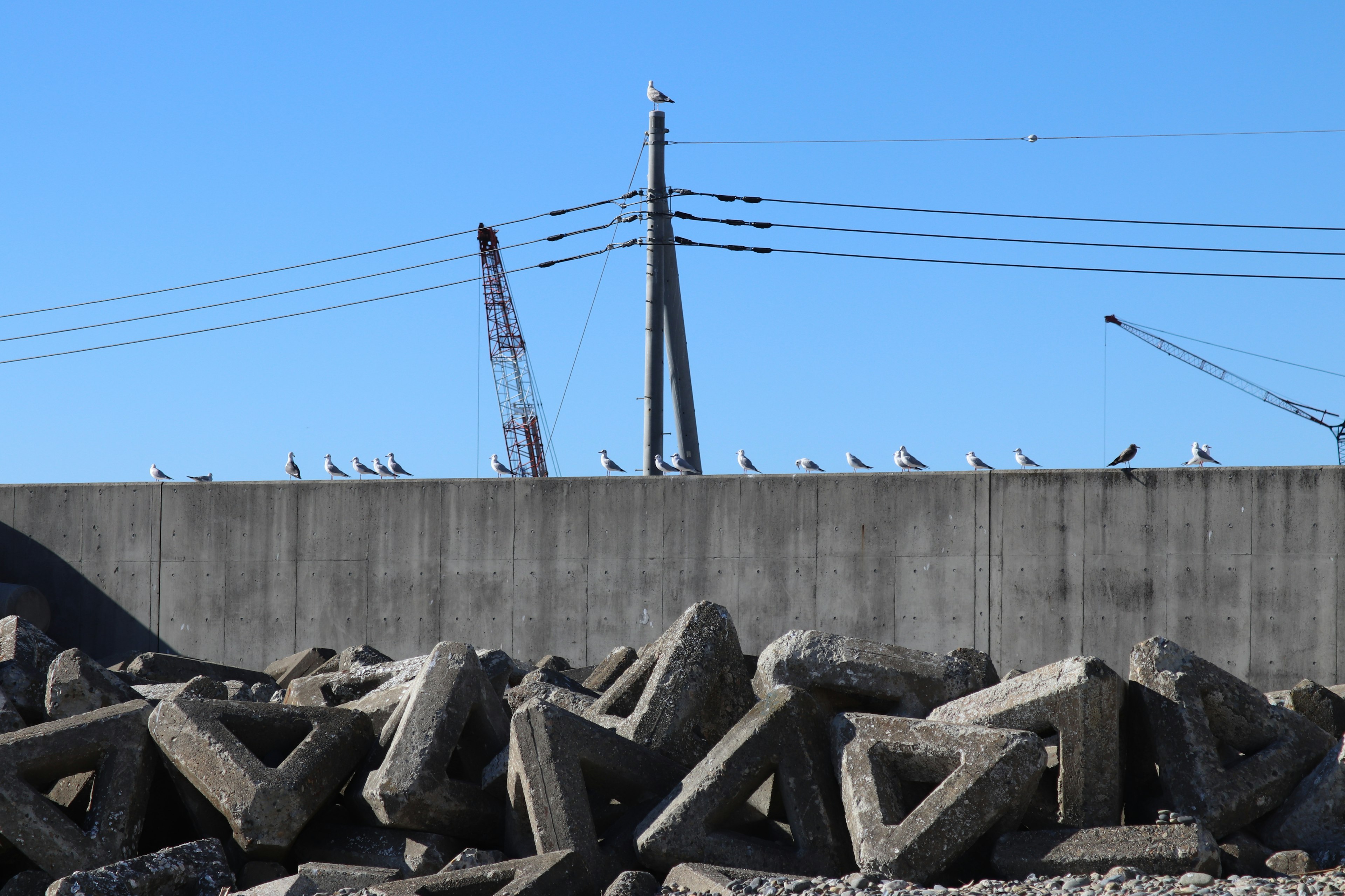 Bloques de concreto en primer plano con aves posadas en una pared bajo un cielo azul claro