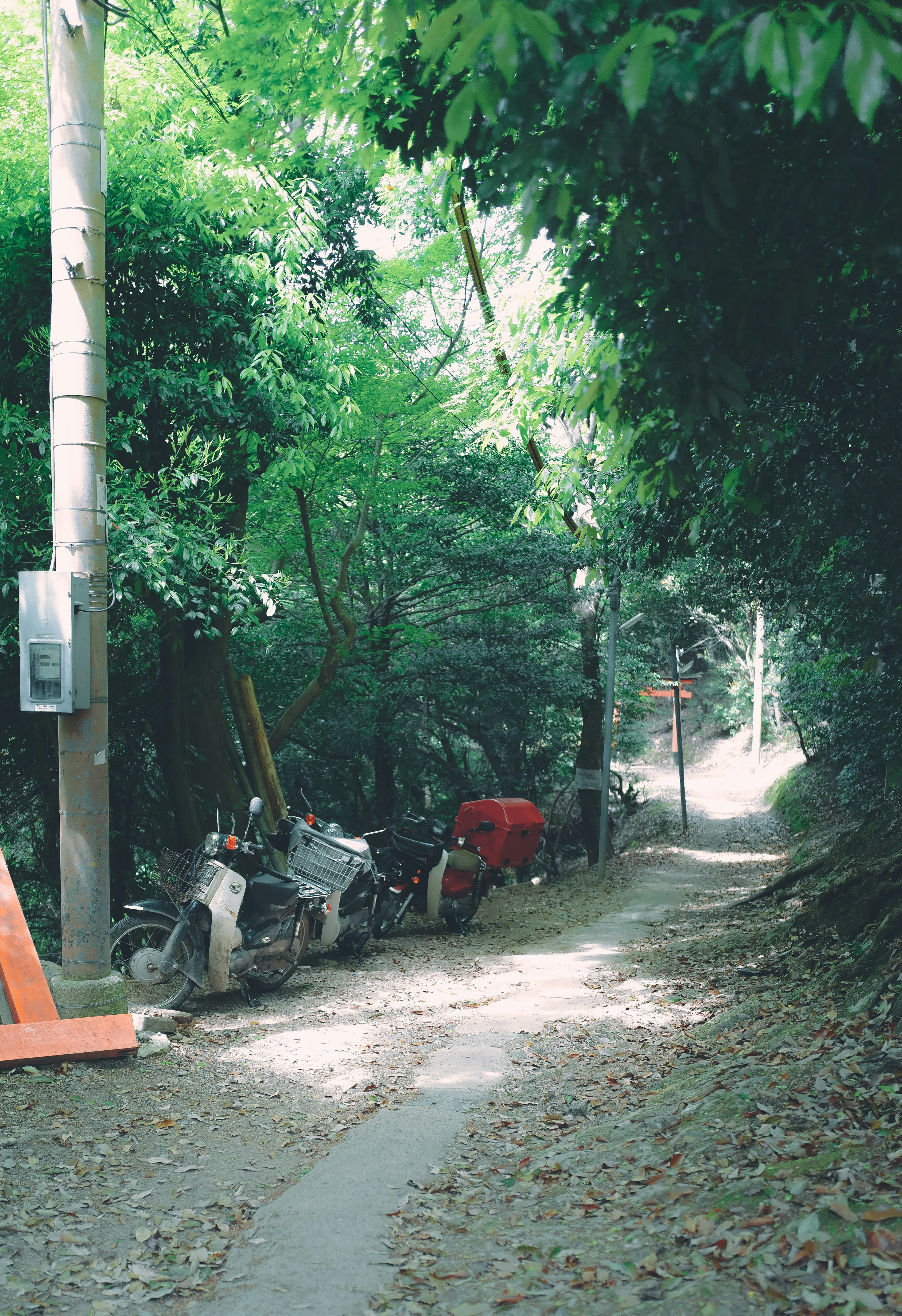 Narrow path surrounded by greenery with parked motorcycles