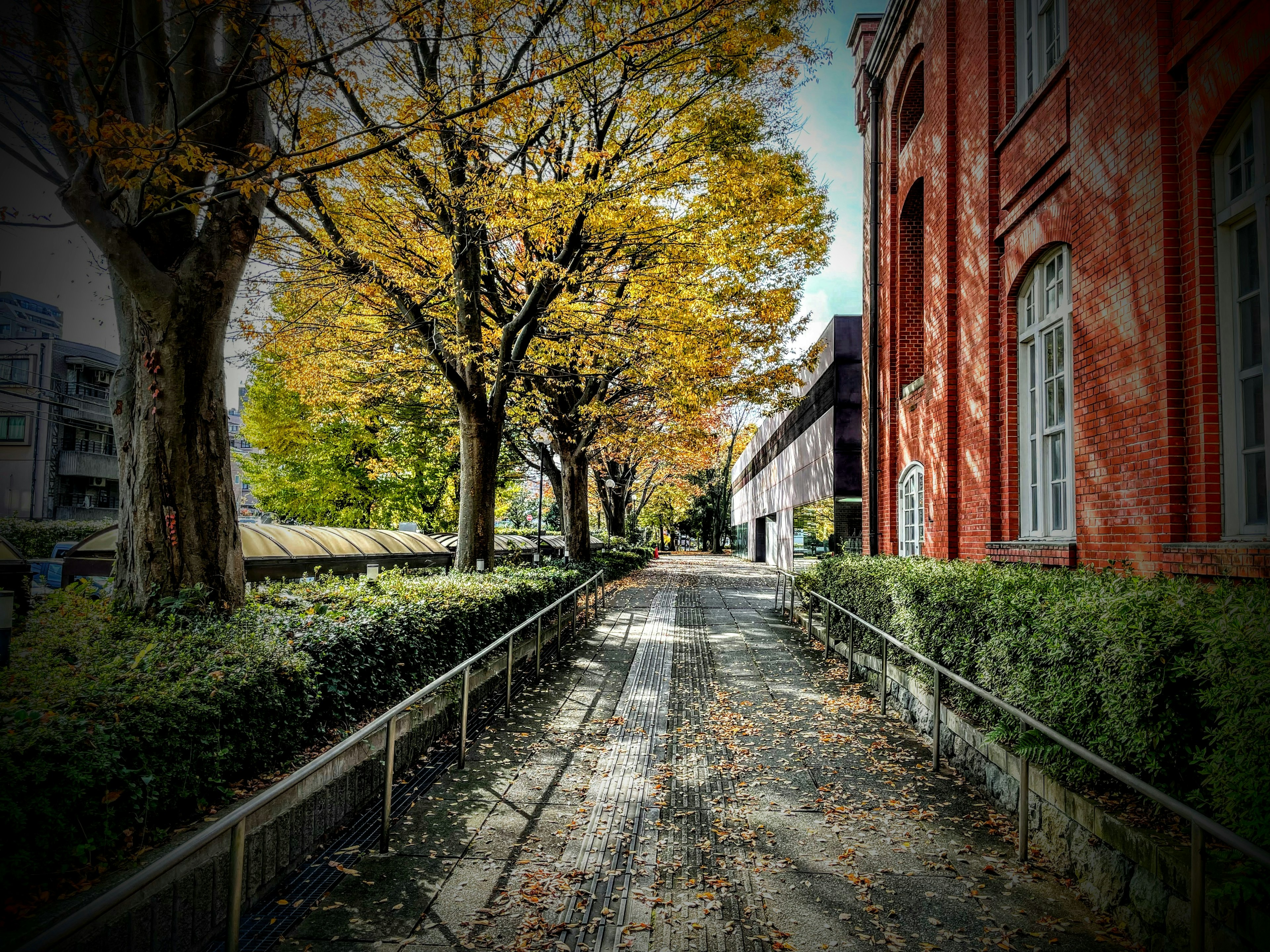 Pathway lined with autumn leaves beside a red building and green hedges