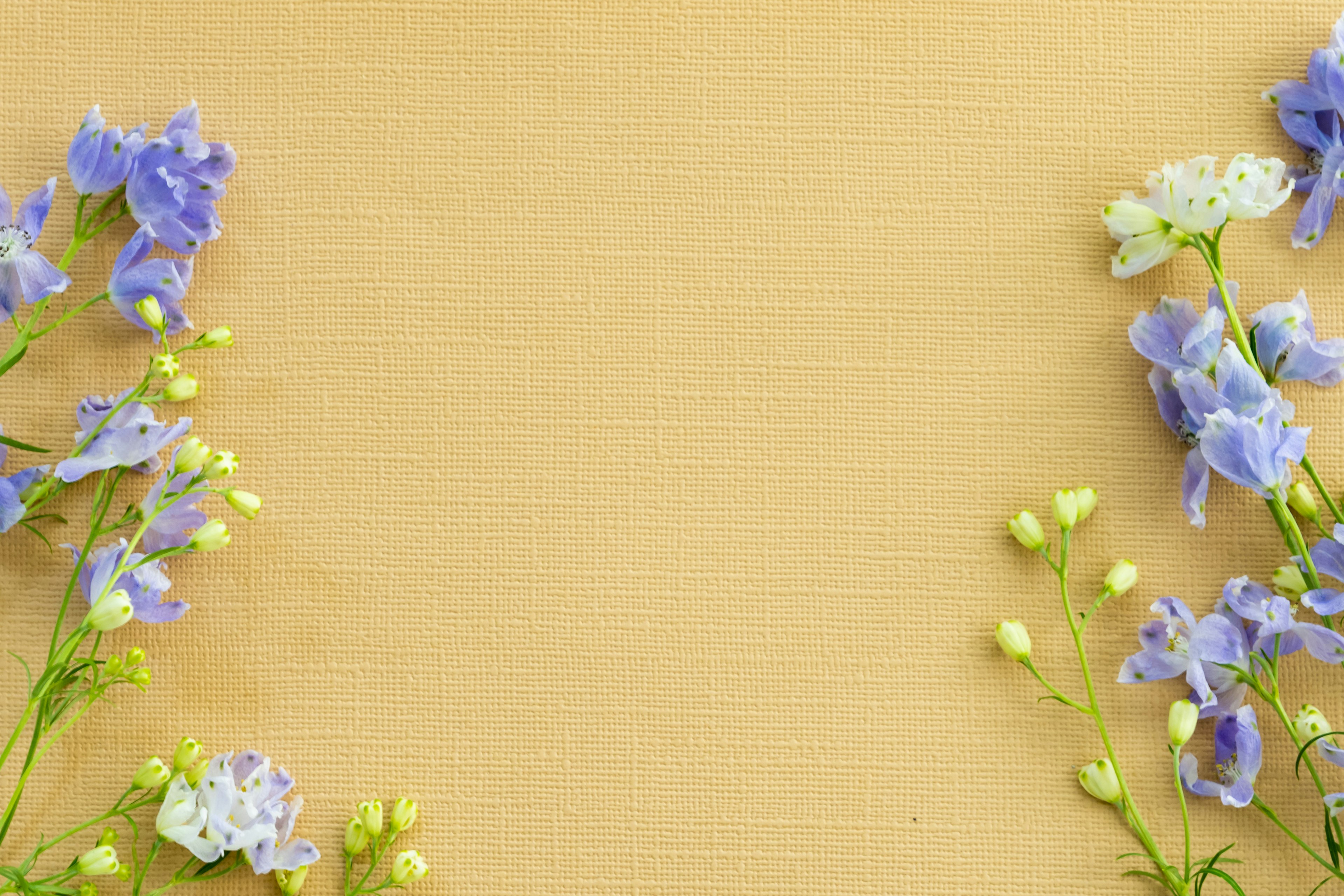 Arrangement floral magnifique avec des fleurs bleues et violettes et de petites fleurs blanches sur un fond jaune