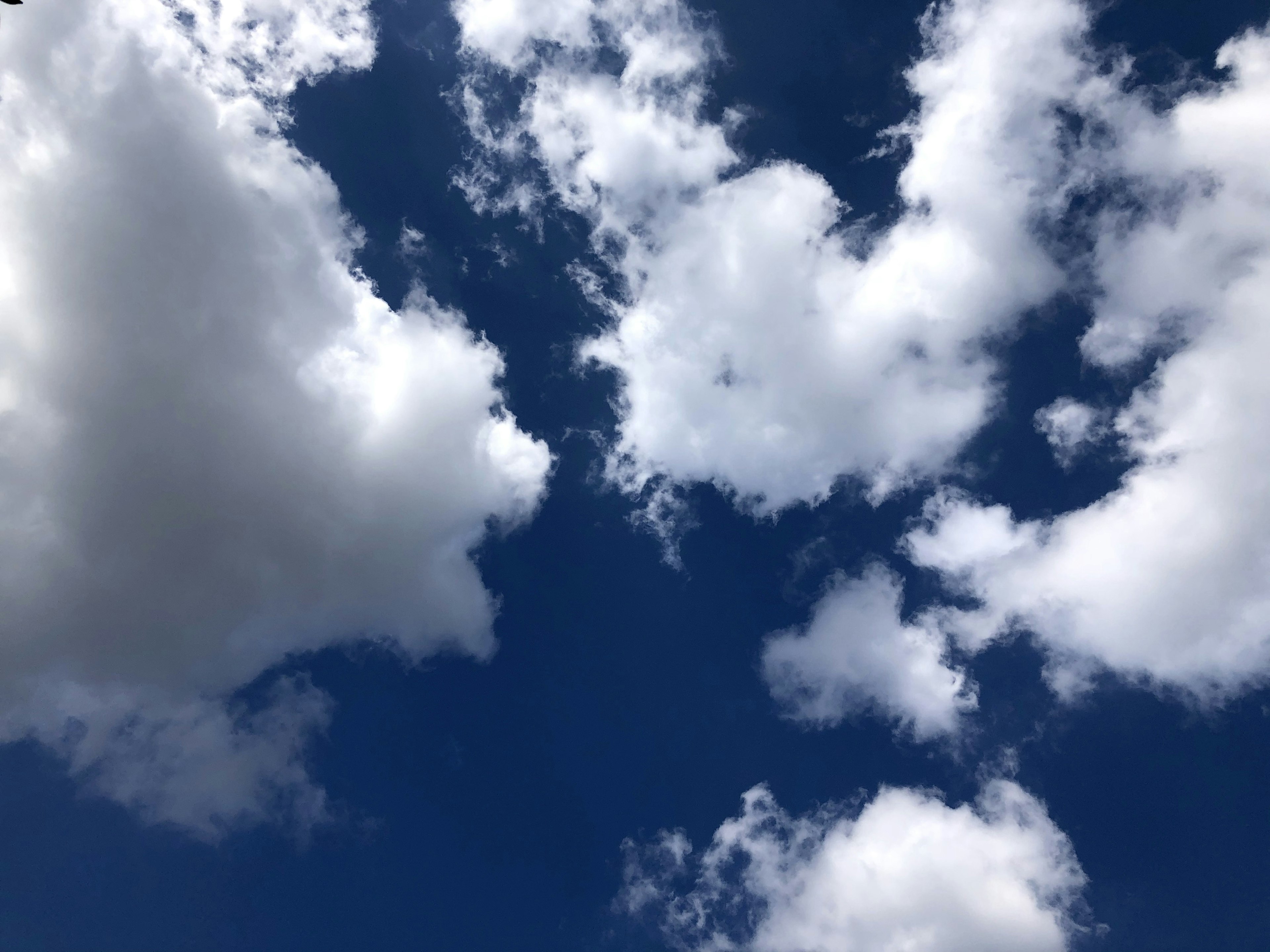 Awan putih mengapung di langit biru