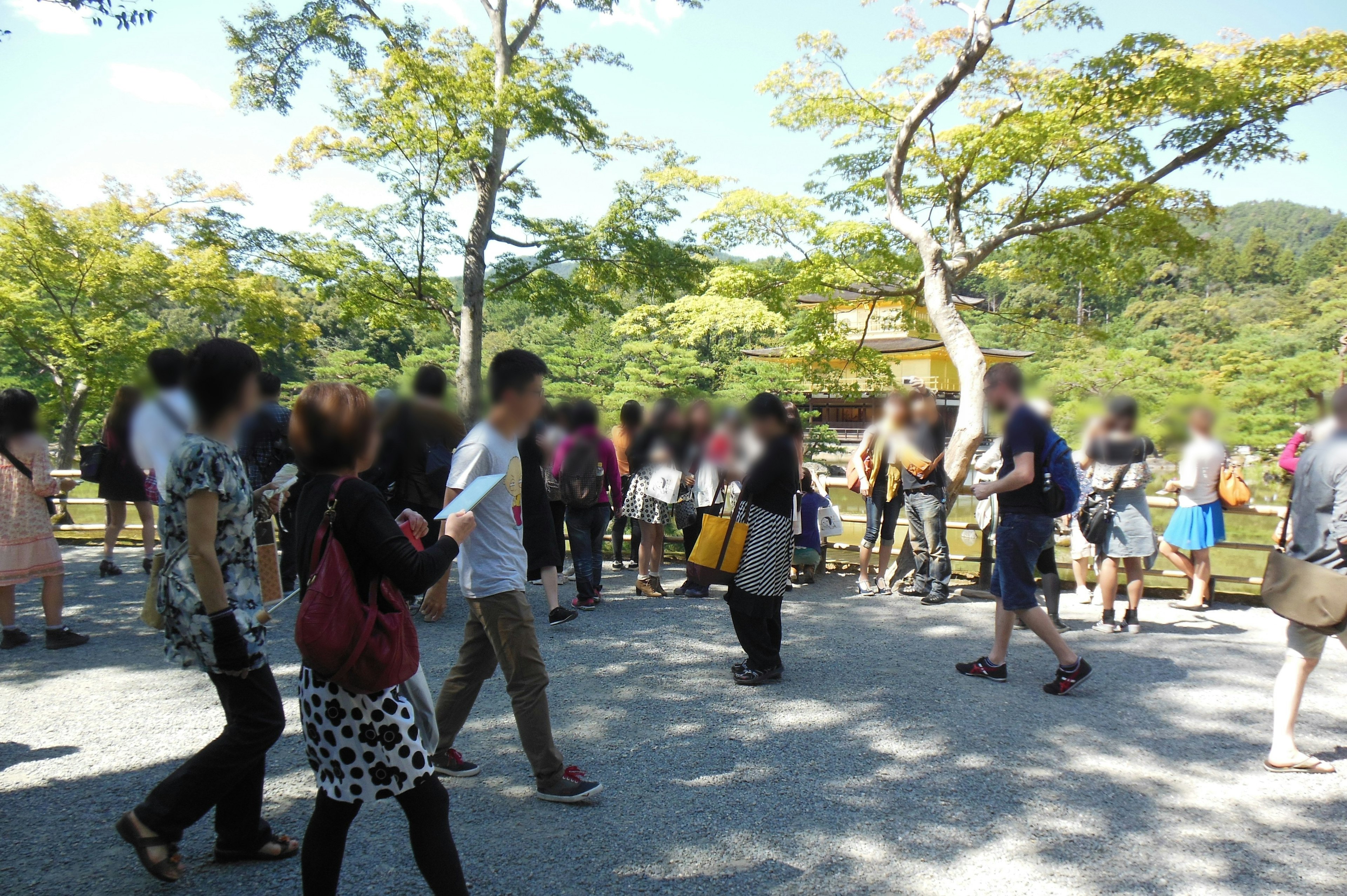 許多人在公園裡散步的場景，背景有綠色的樹木和晴朗的天空