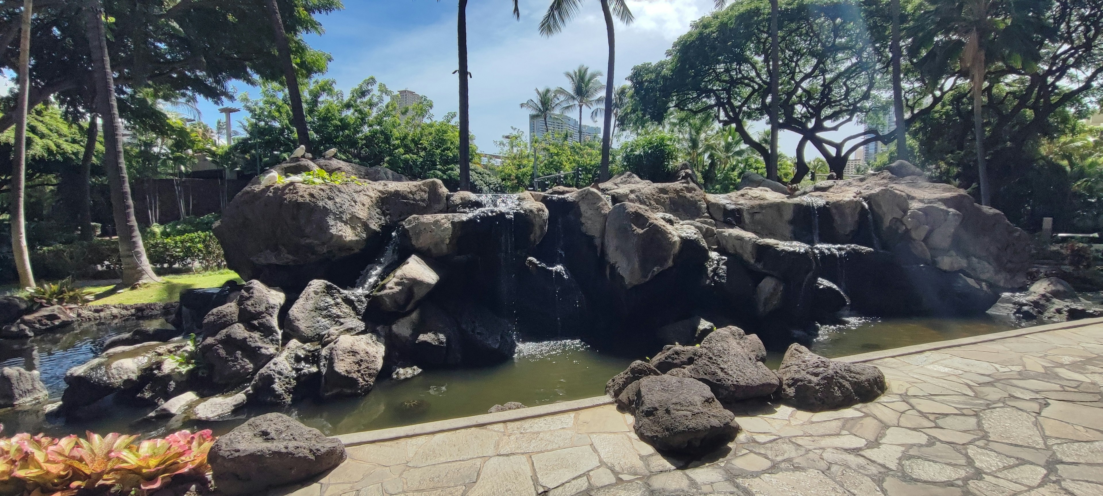 公園内の大きな岩と水辺の景色 緑豊かな木々と青空