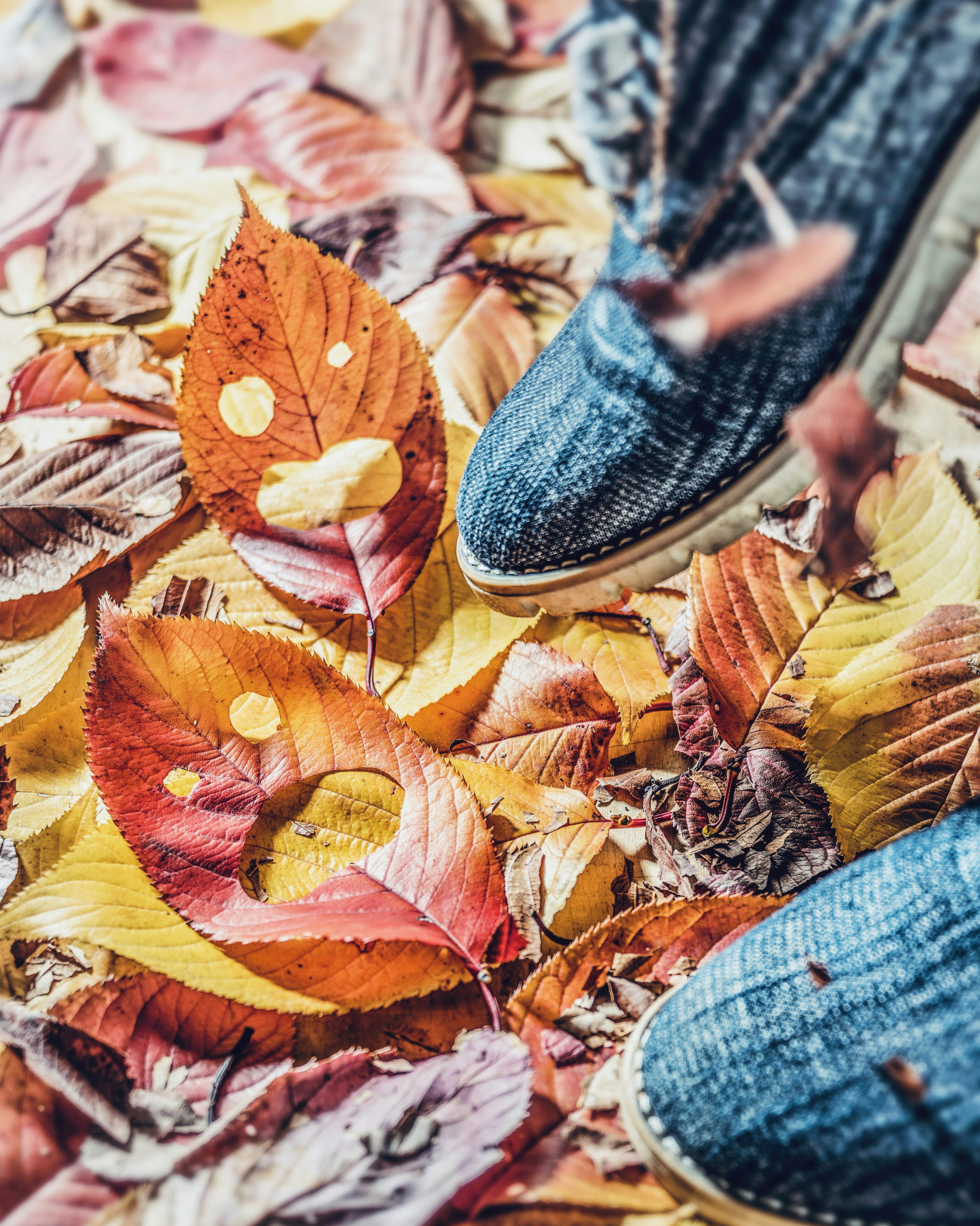 Acercamiento de zapatos sobre hojas de otoño coloridas