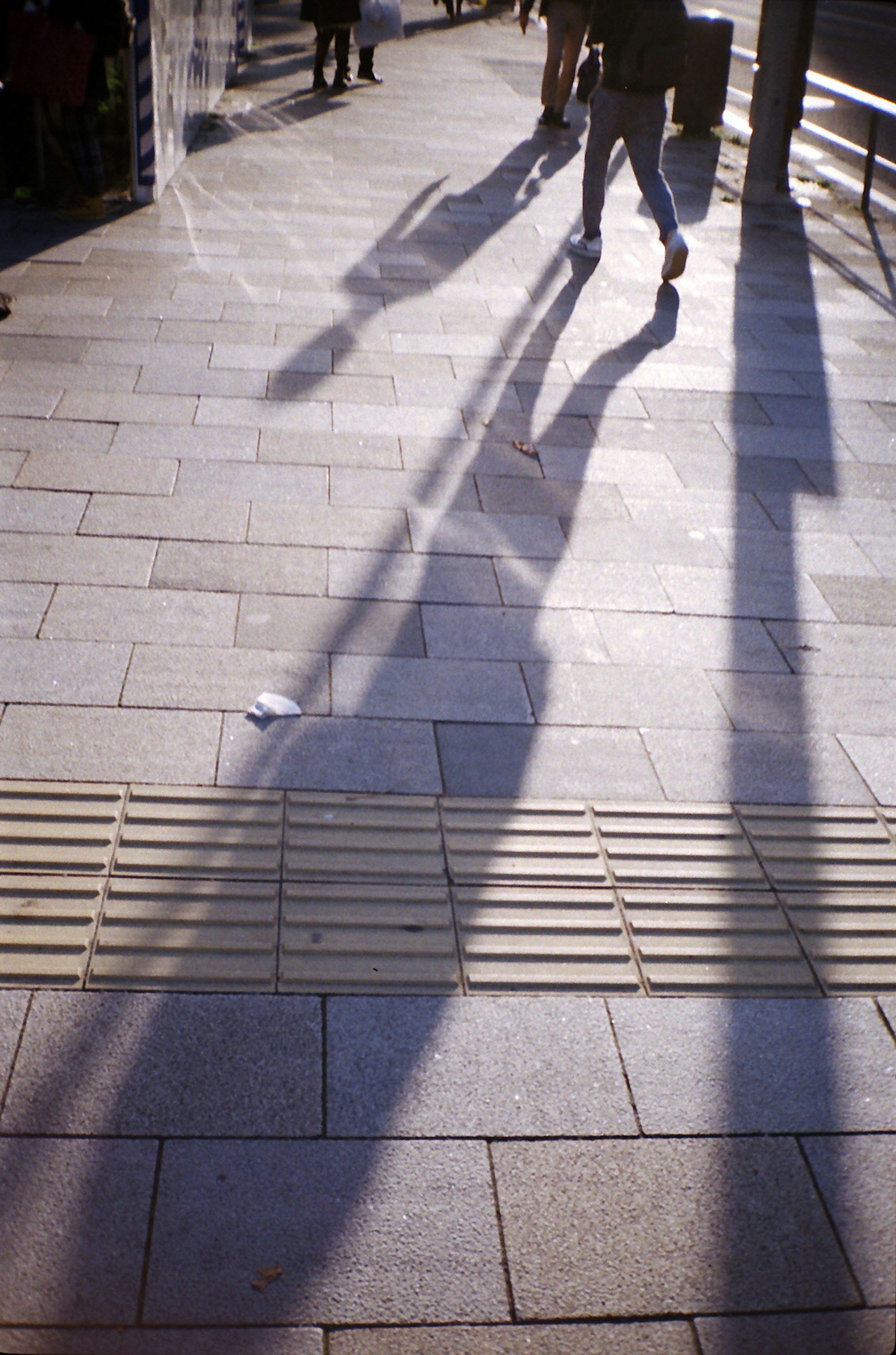 Long shadows of people walking on a sidewalk